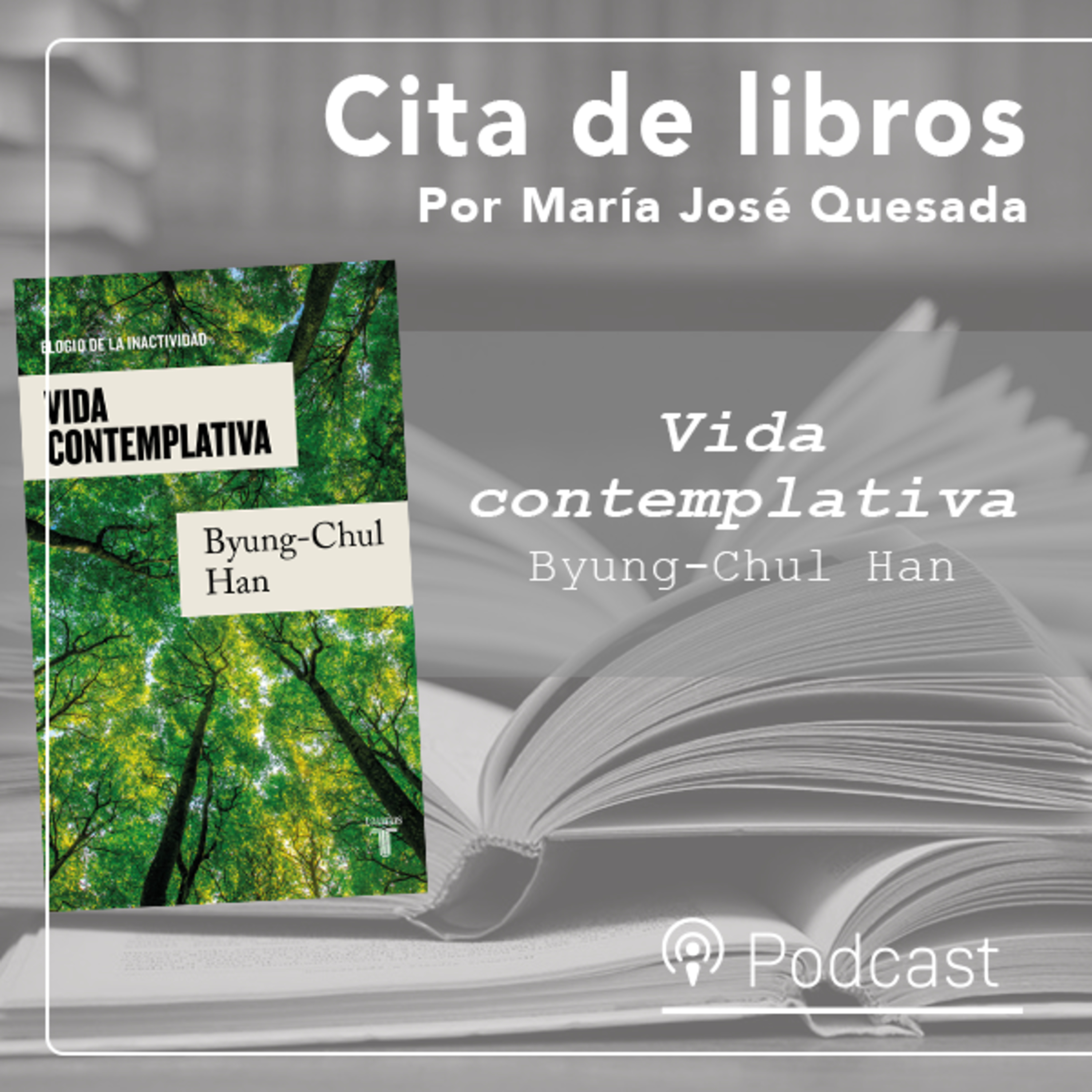 Cita de libros| Vida contemplativa, de Byung-Chul Han: “La inactividad es una forma de esplendor de la existencia humana” episode artwork