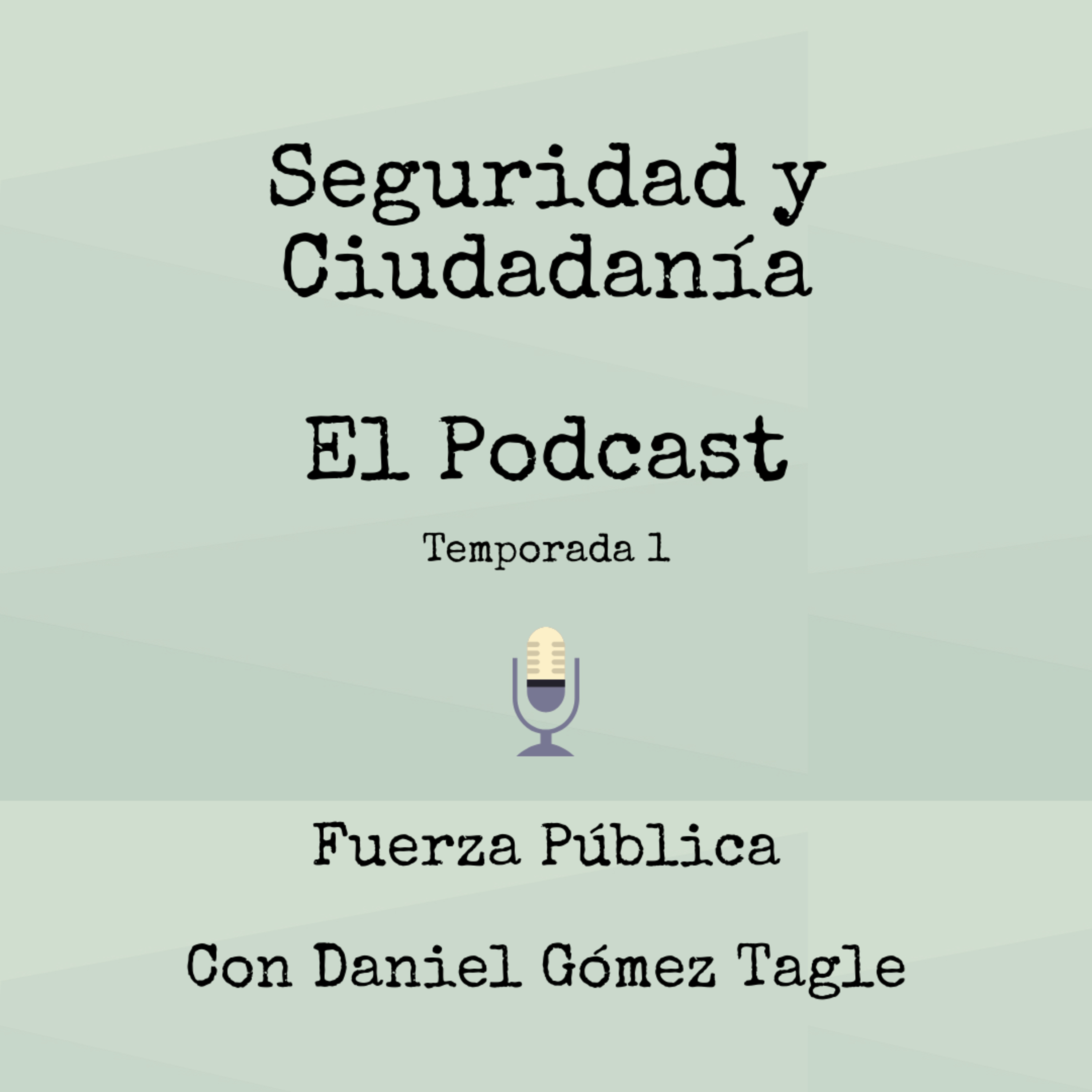 Seguridad Y Ciudadanía