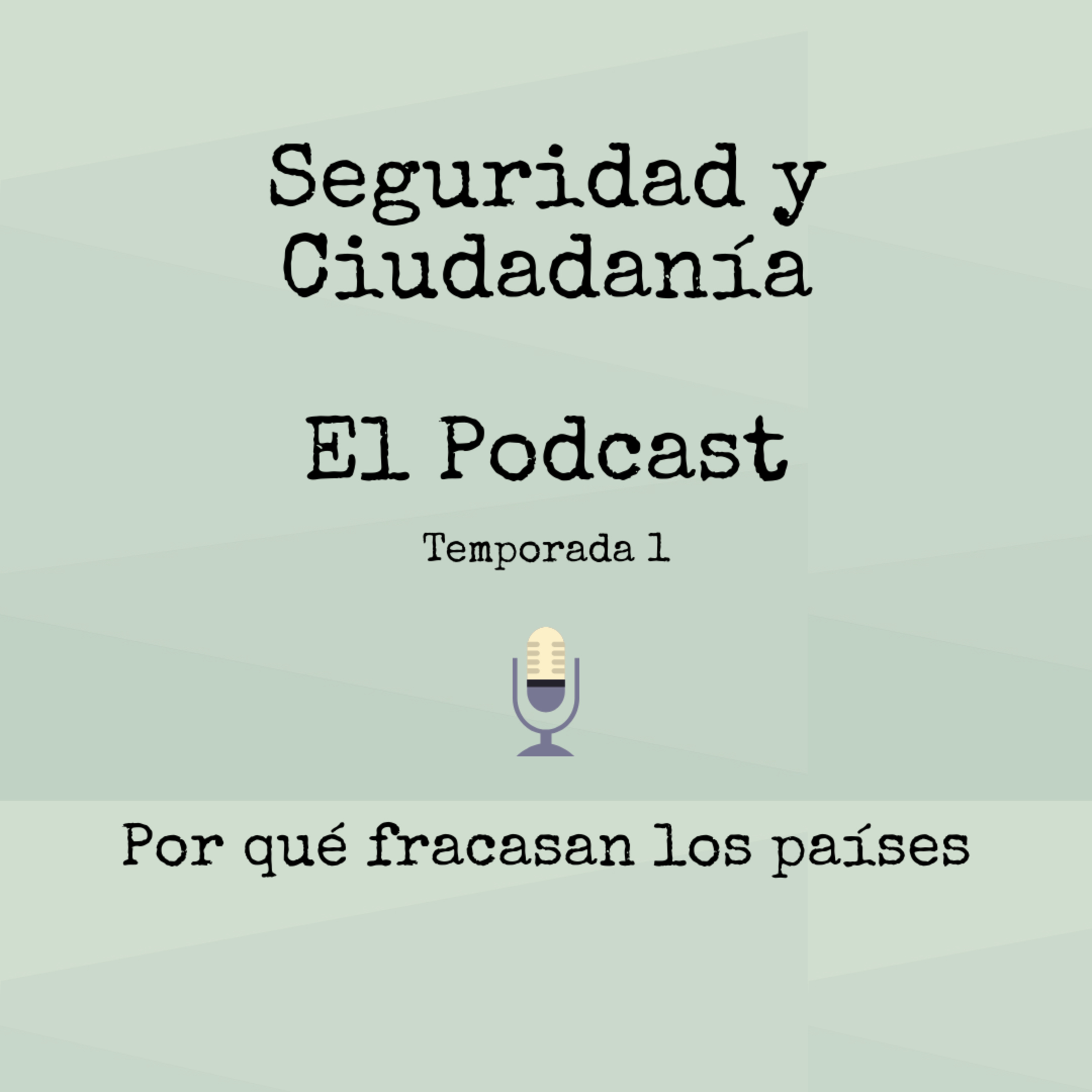 Seguridad Y Ciudadanía