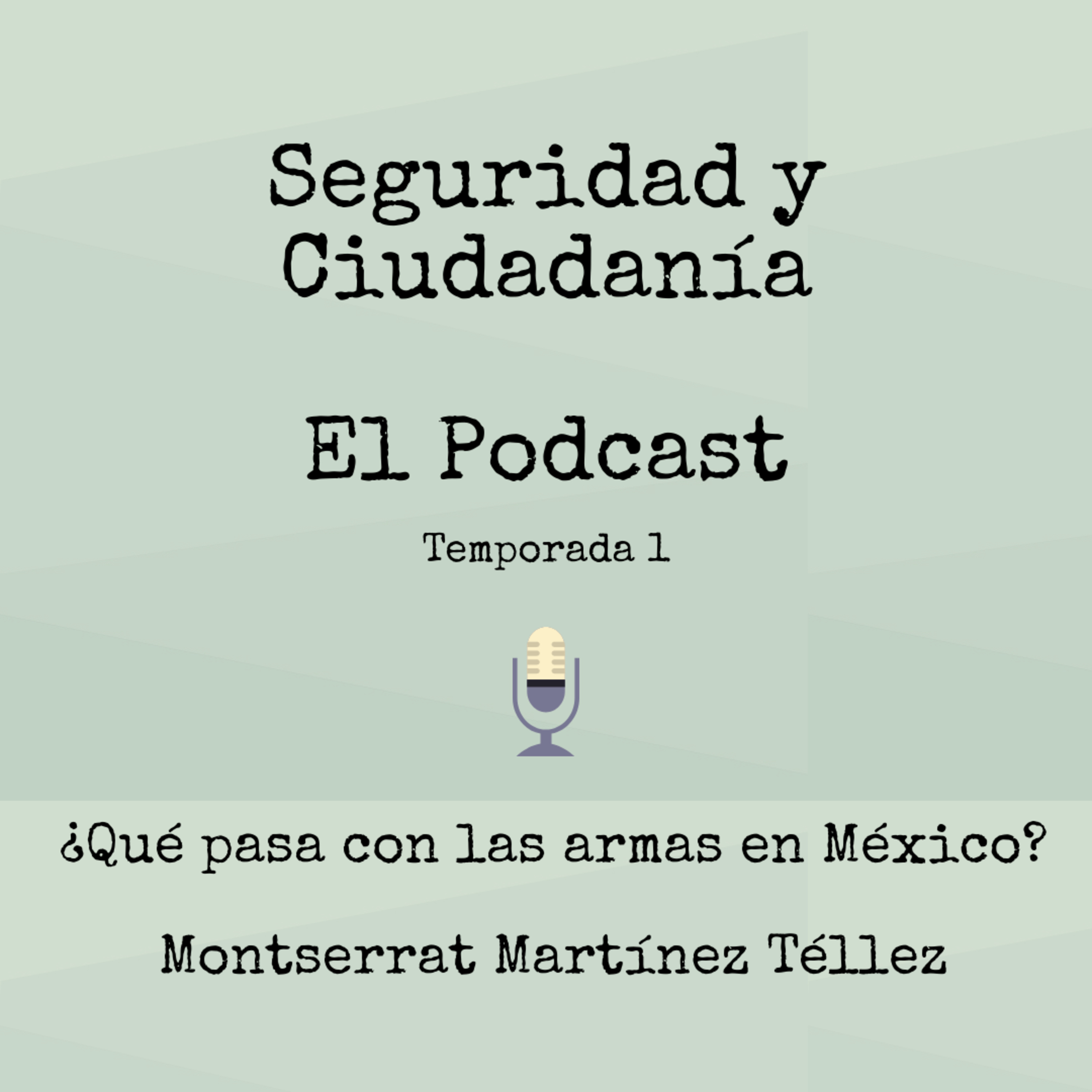 Seguridad Y Ciudadanía