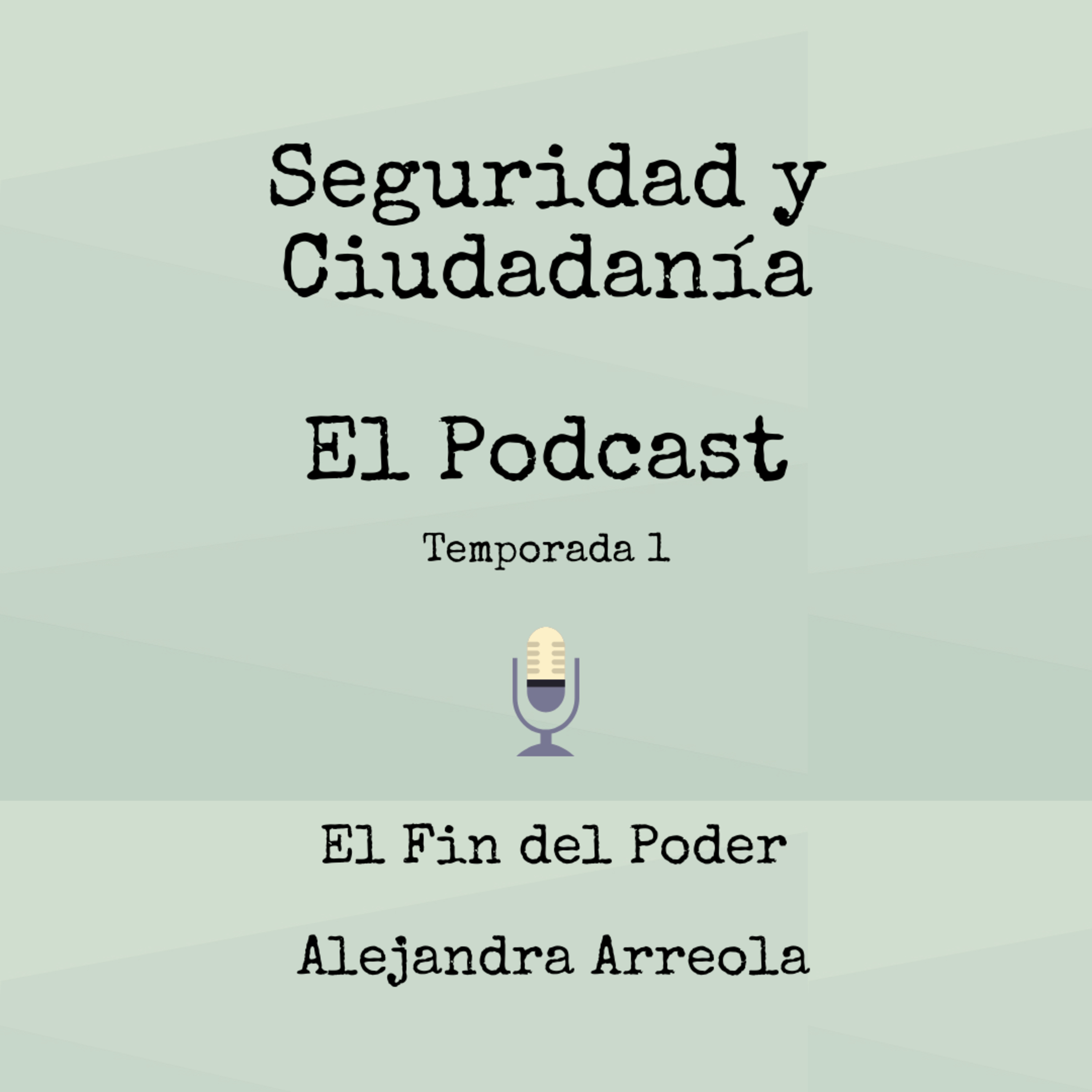 Seguridad Y Ciudadanía