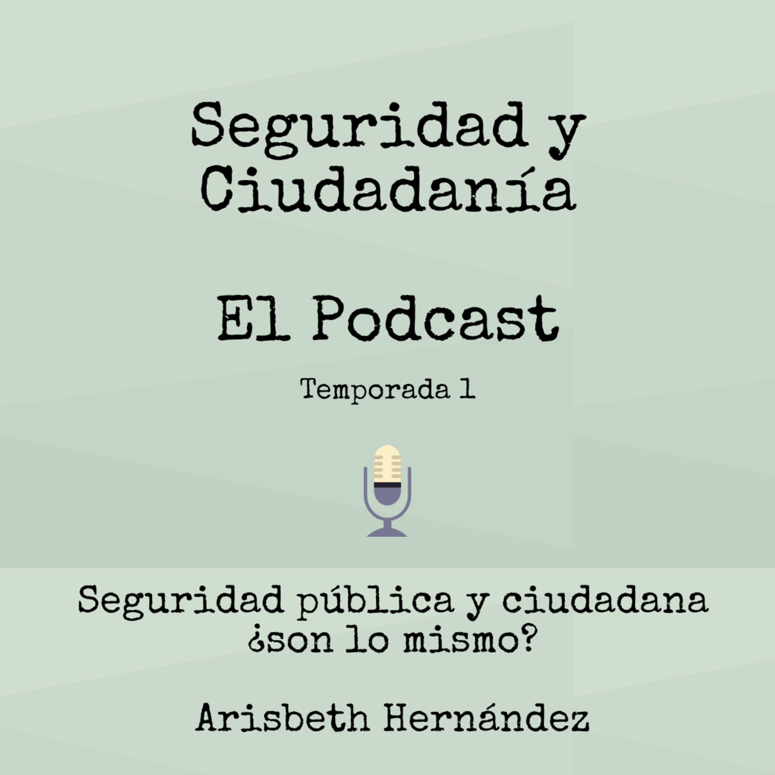 Seguridad Y Ciudadanía