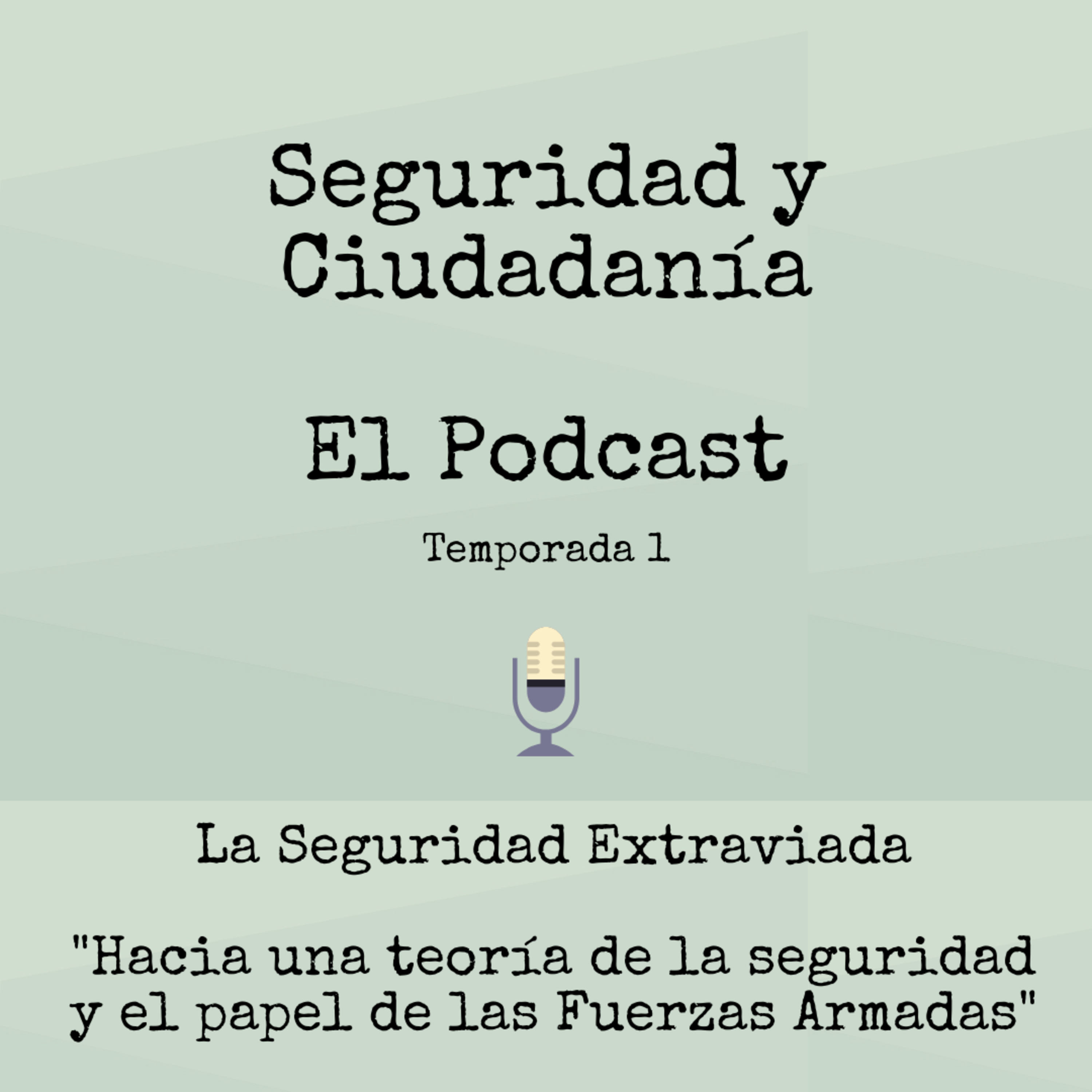 Seguridad Y Ciudadanía
