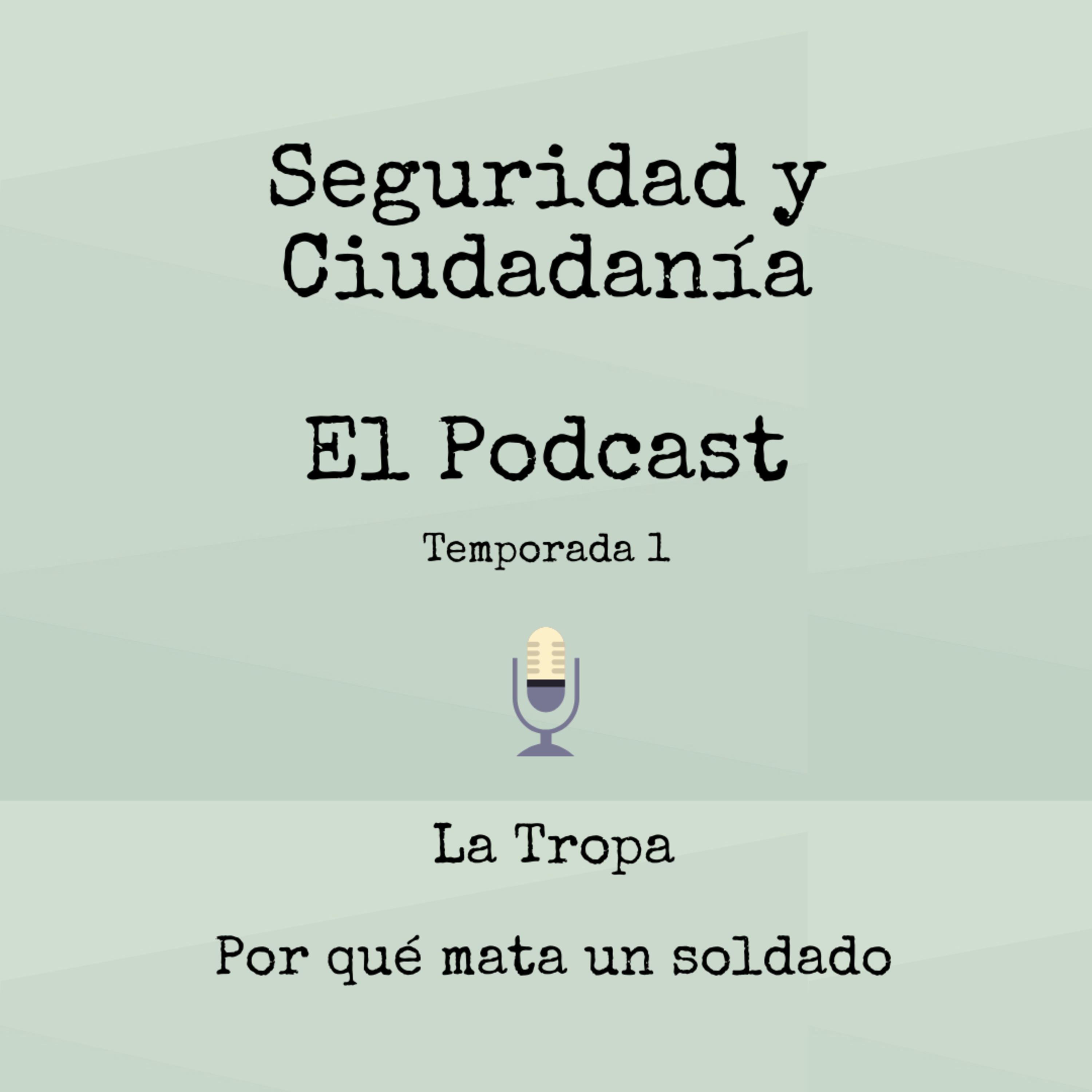 Seguridad Y Ciudadanía