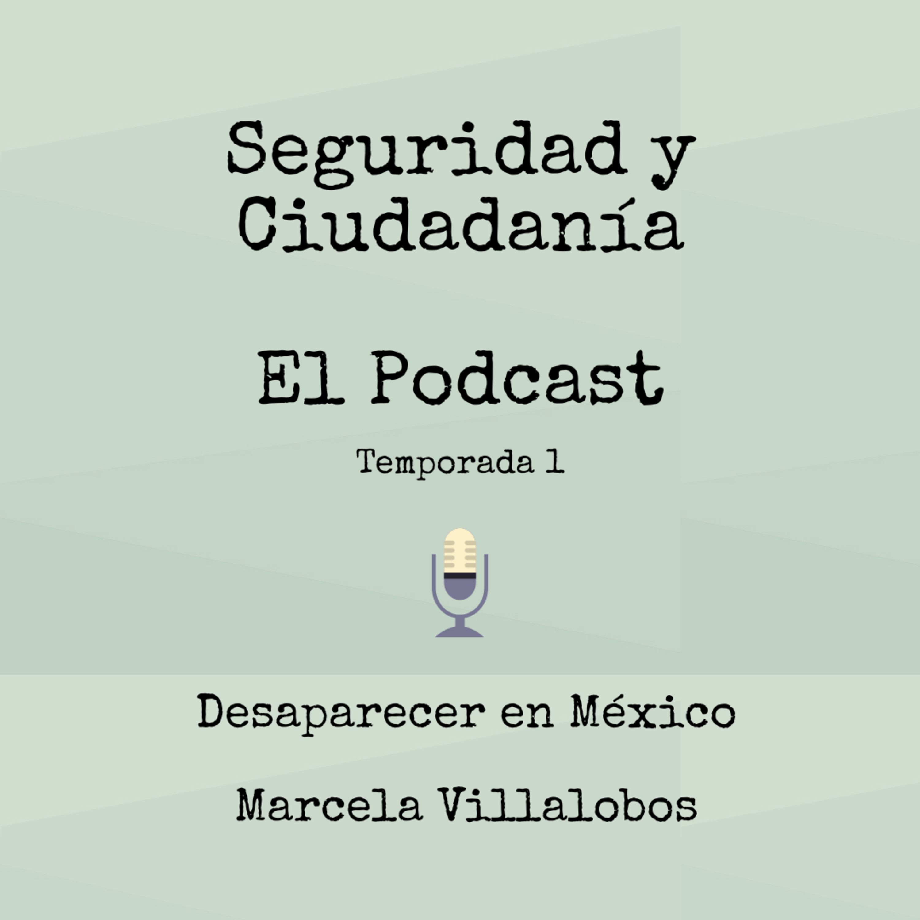Seguridad Y Ciudadanía