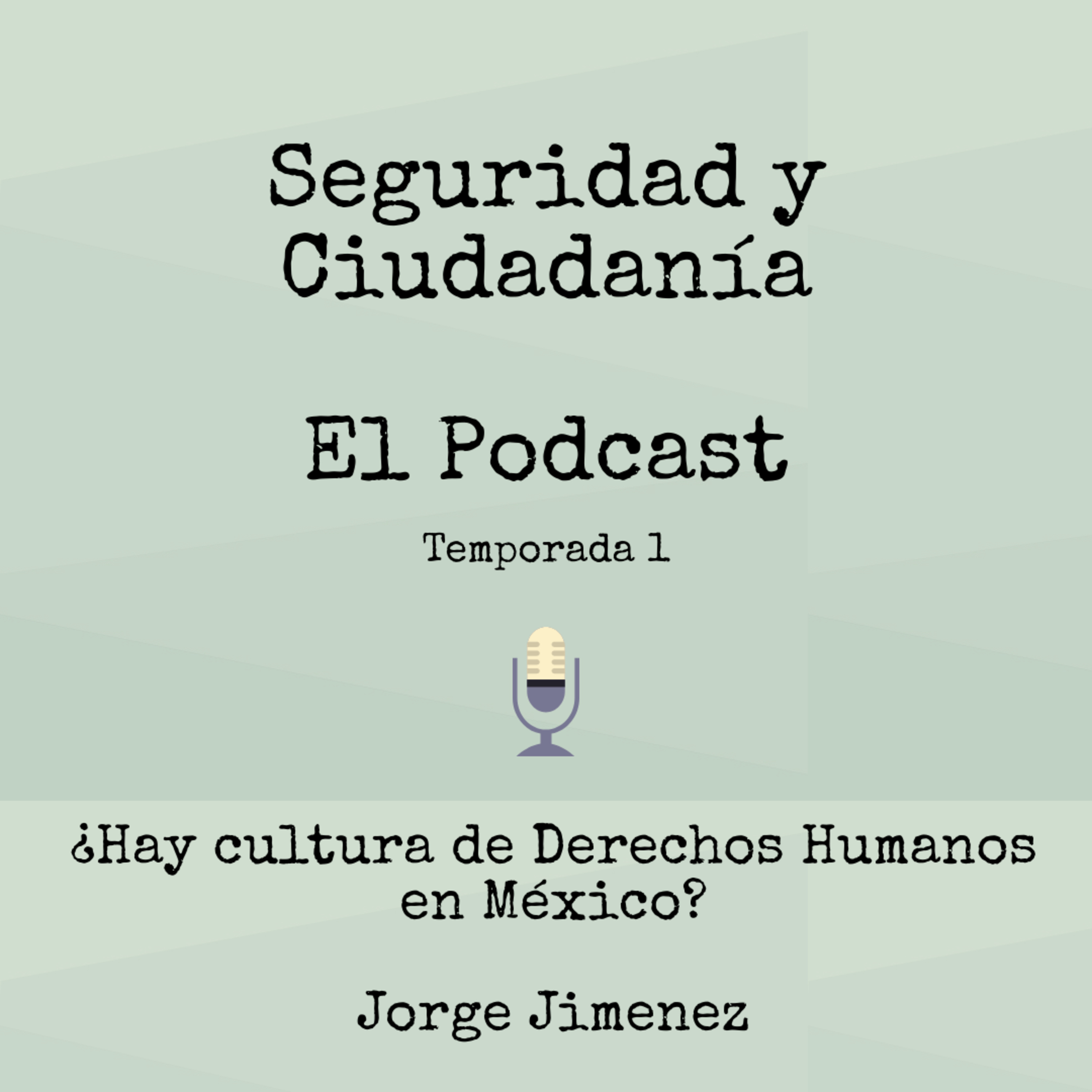 Seguridad Y Ciudadanía