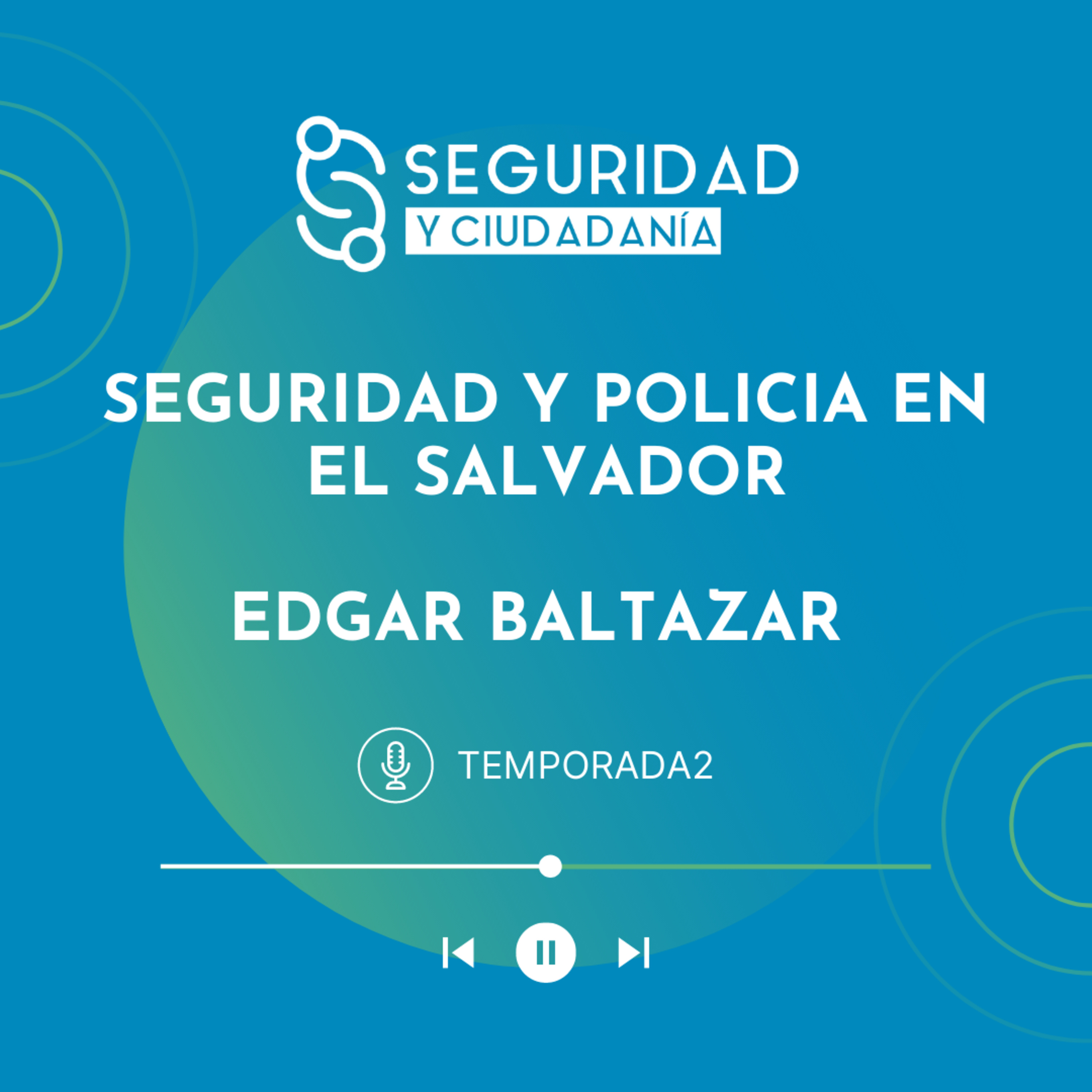 Seguridad Y Ciudadanía