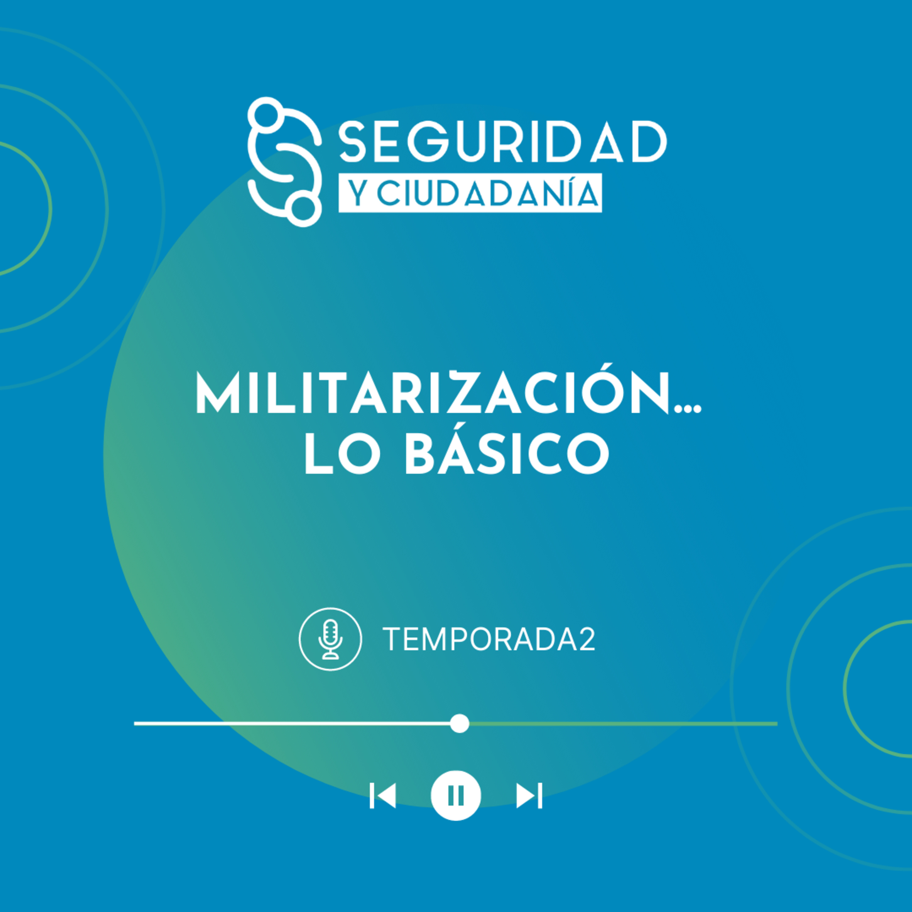 Seguridad Y Ciudadanía