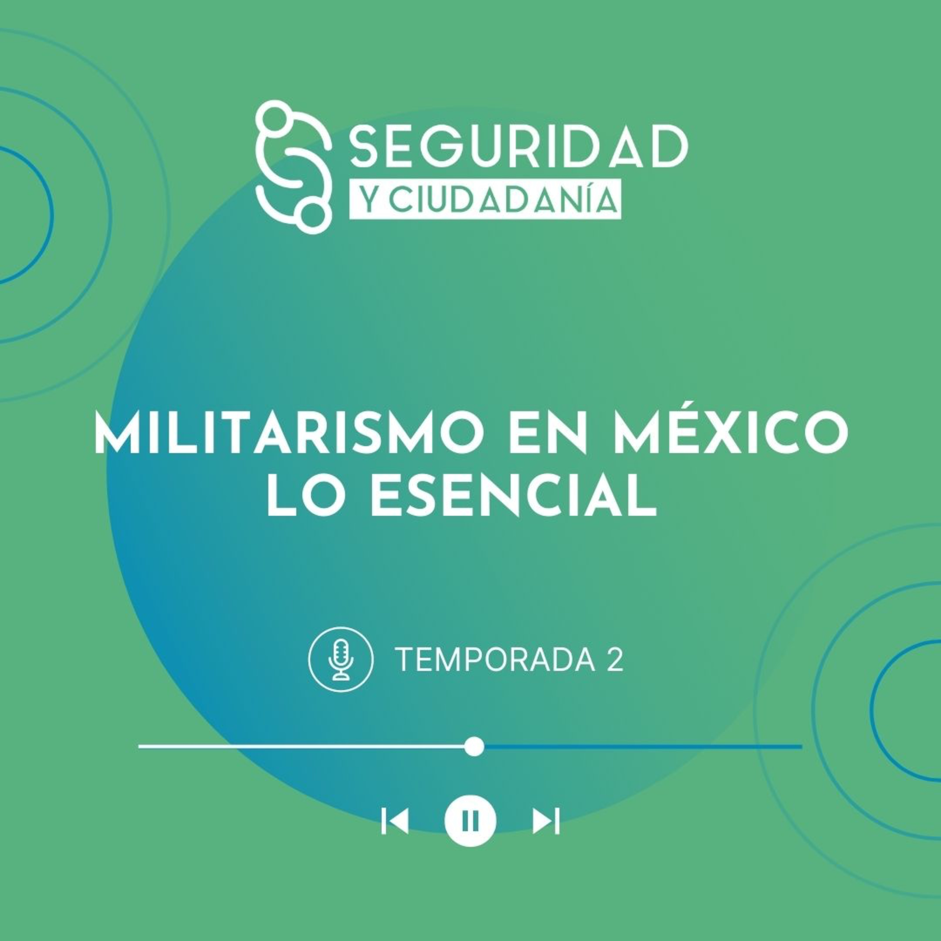Seguridad Y Ciudadanía
