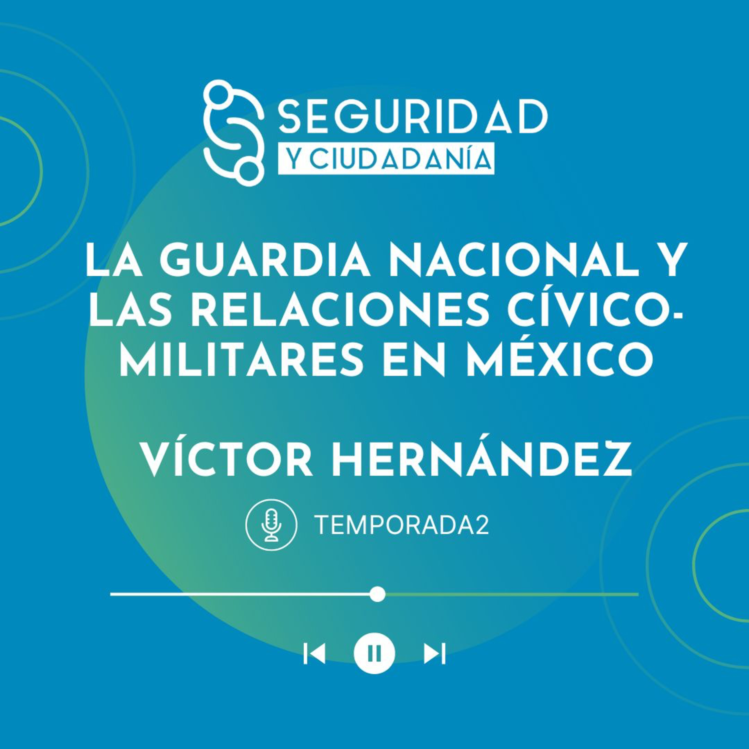 Seguridad Y Ciudadanía
