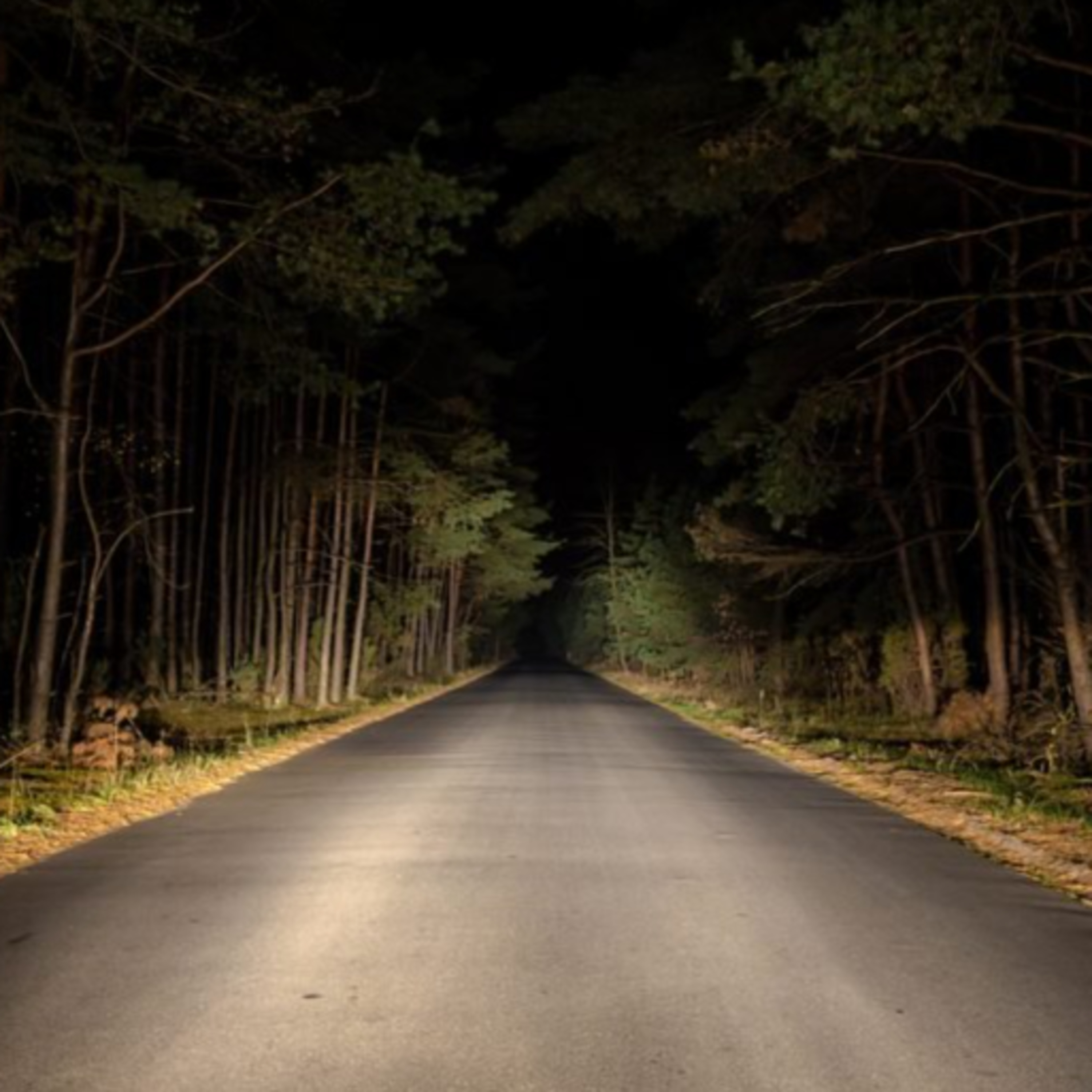 🕵️ 3 Creepy Disappearances you Haven't Heard Before