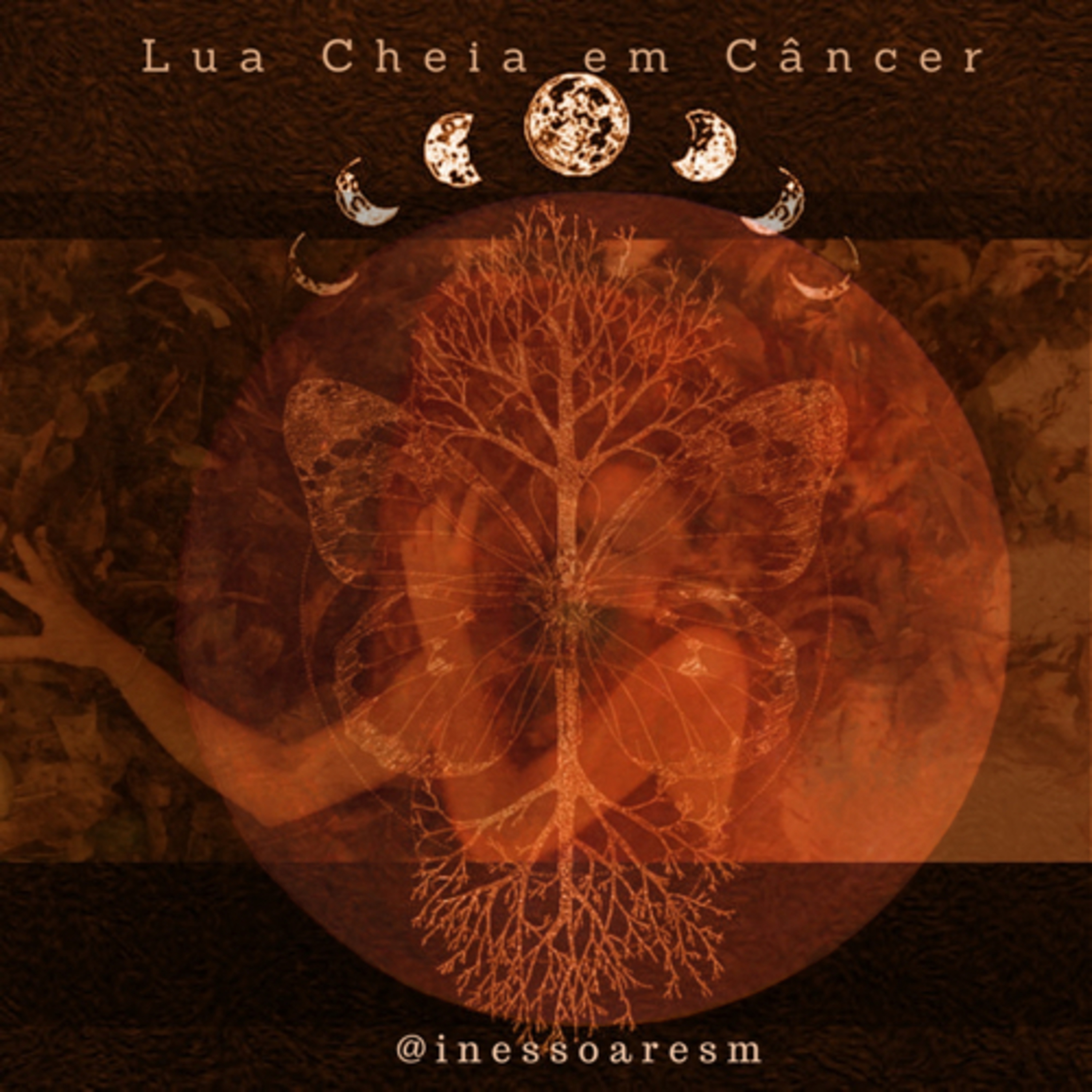 Lua Cheia em Câncer  episode artwork