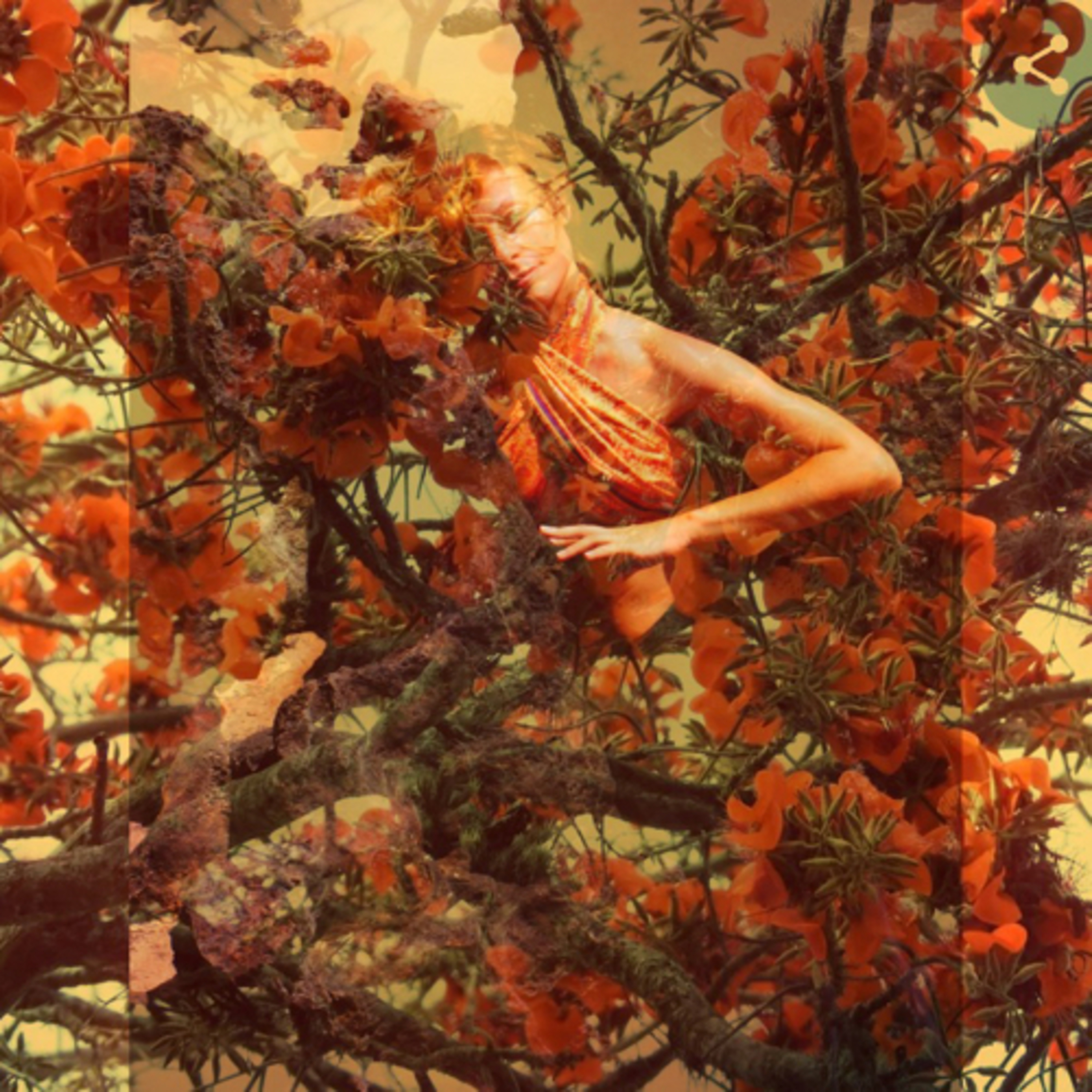 Equinócio de Primavera  episode artwork