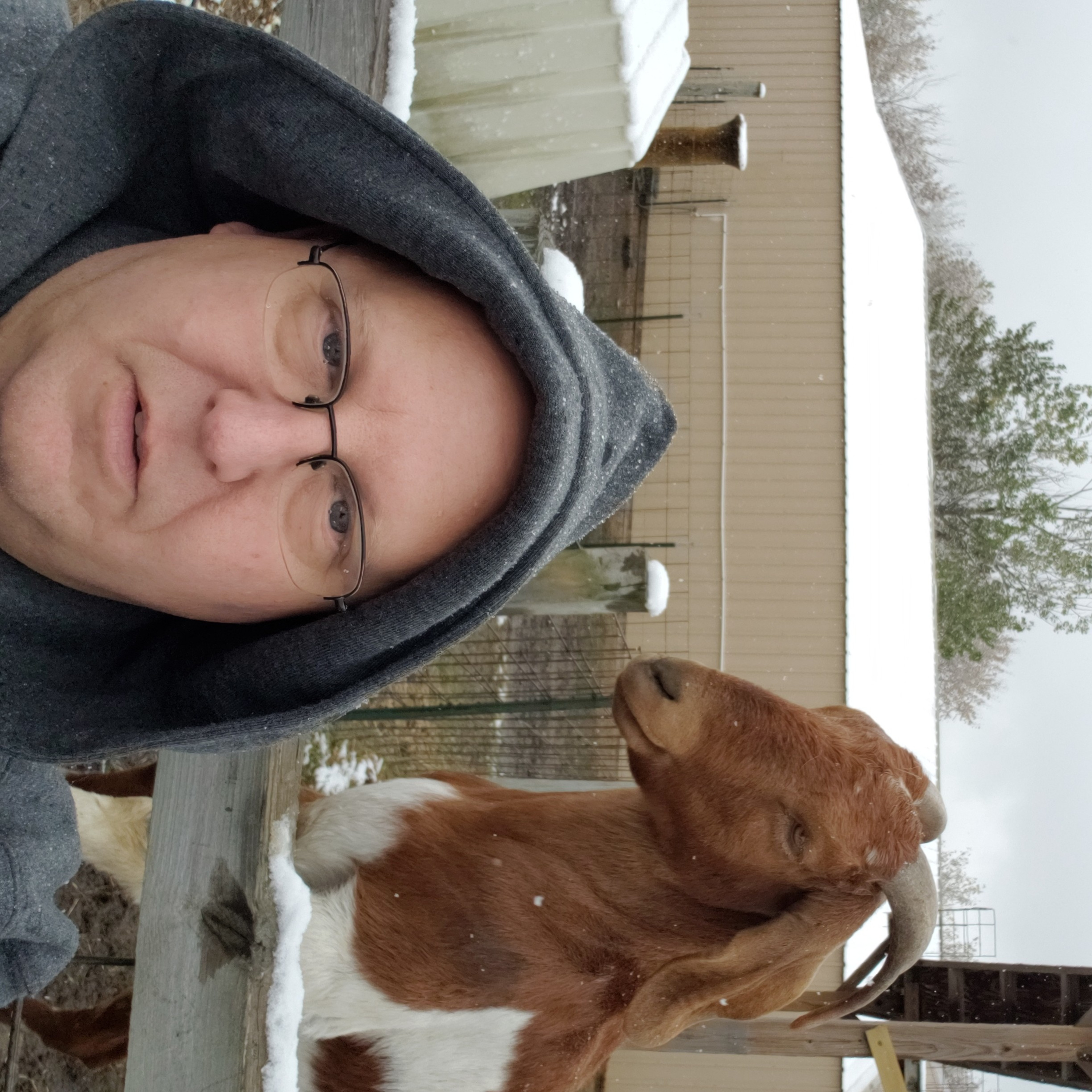 The Selfie Life By Goog Applebaum