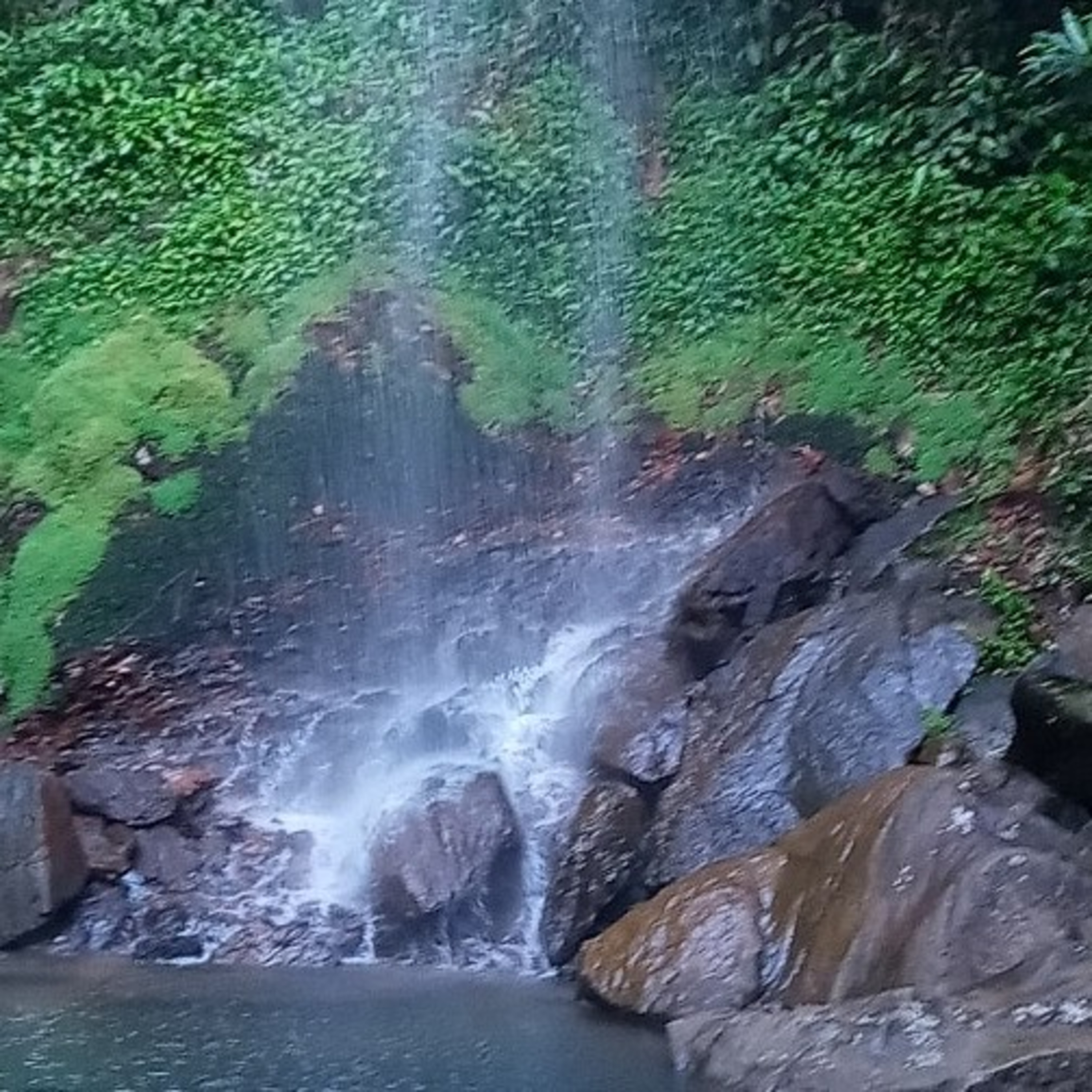 EcoBio - O impacto dos lixos e dos agrotóxicos nos solos e nos humanos