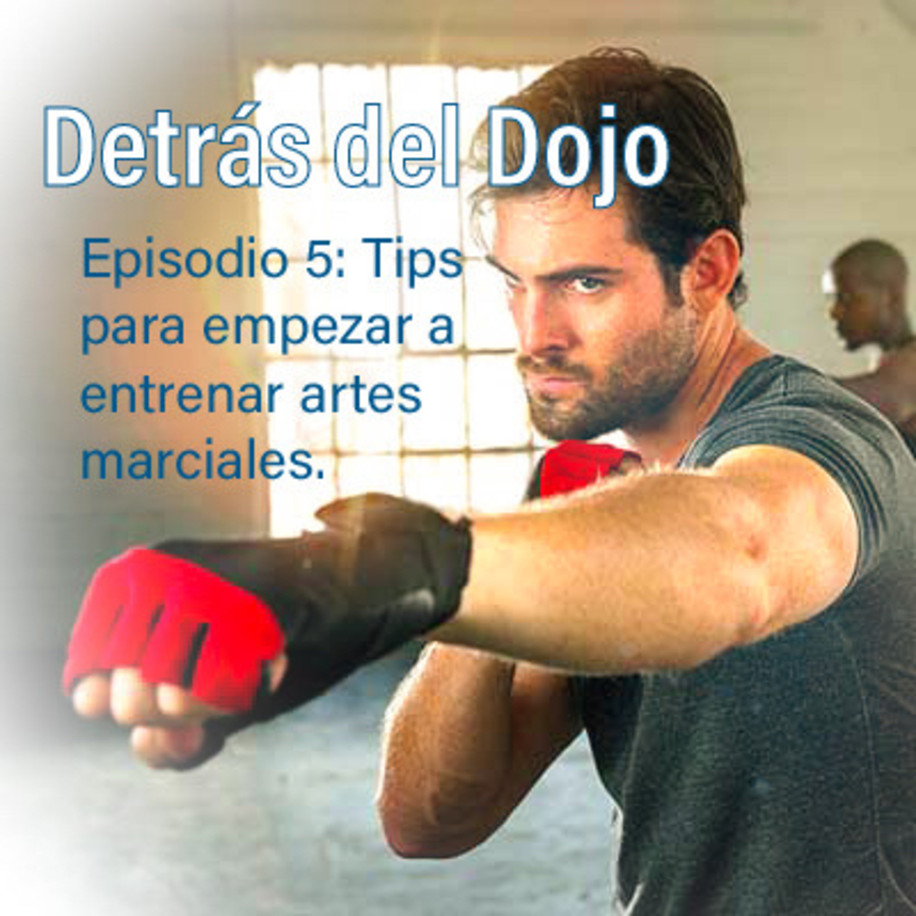 Detrás del Dojo