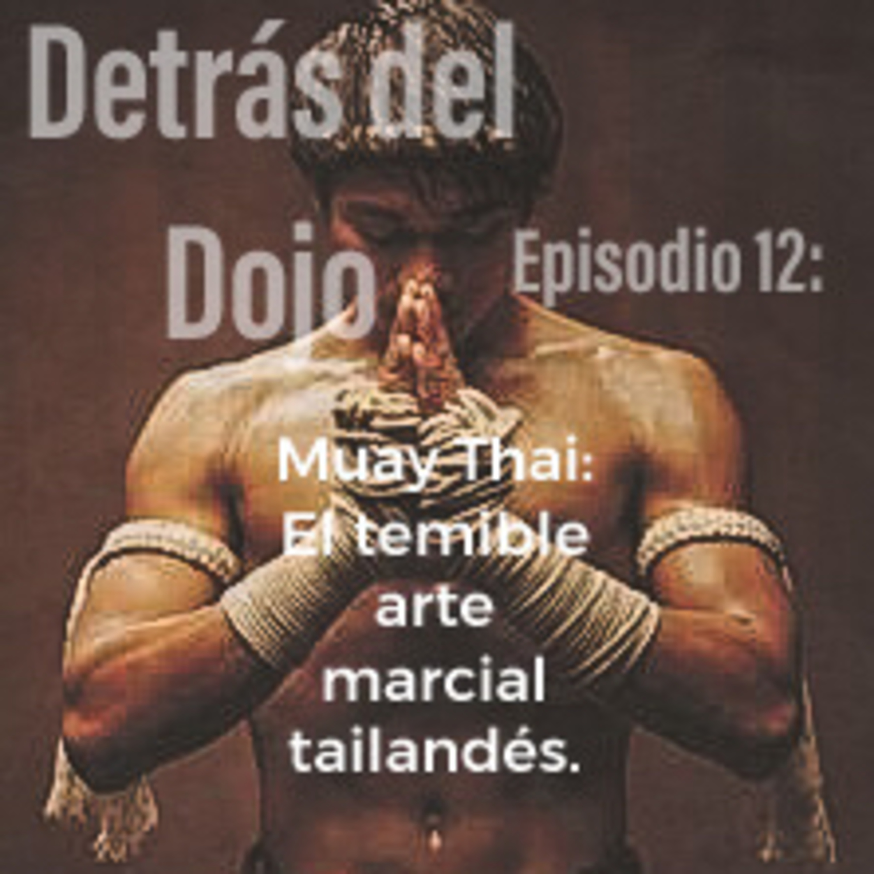 Detrás del Dojo