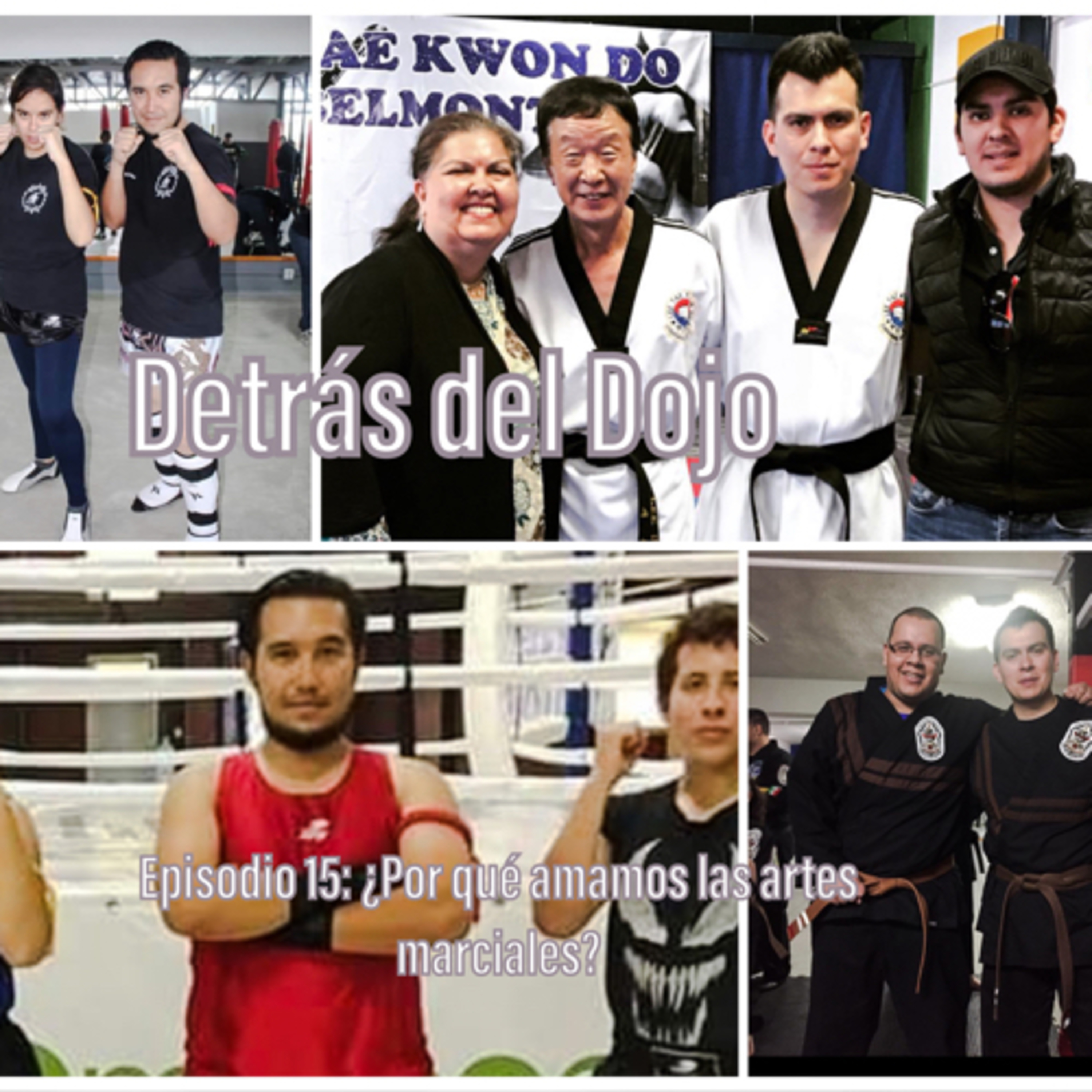 Detrás del Dojo
