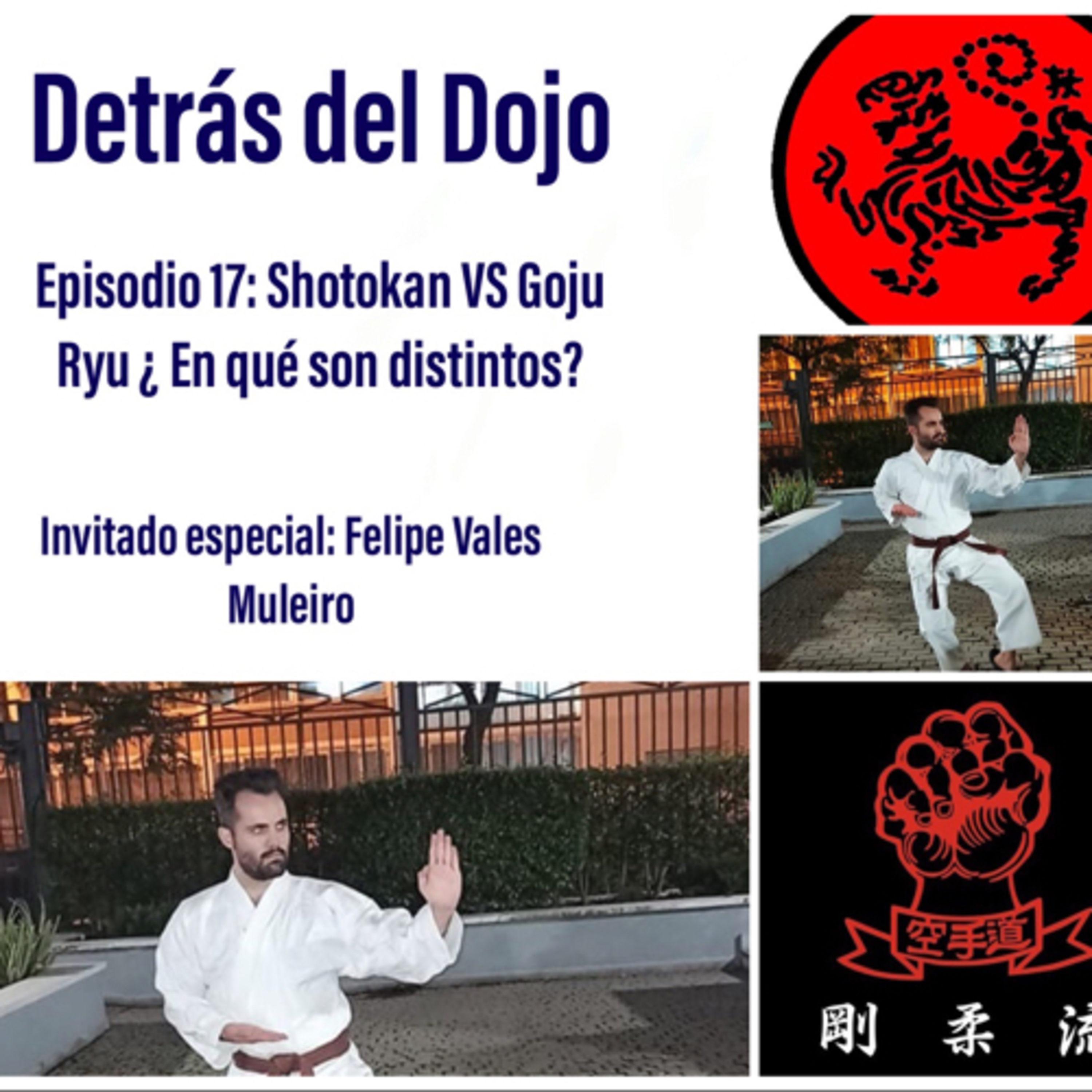 Detrás del Dojo