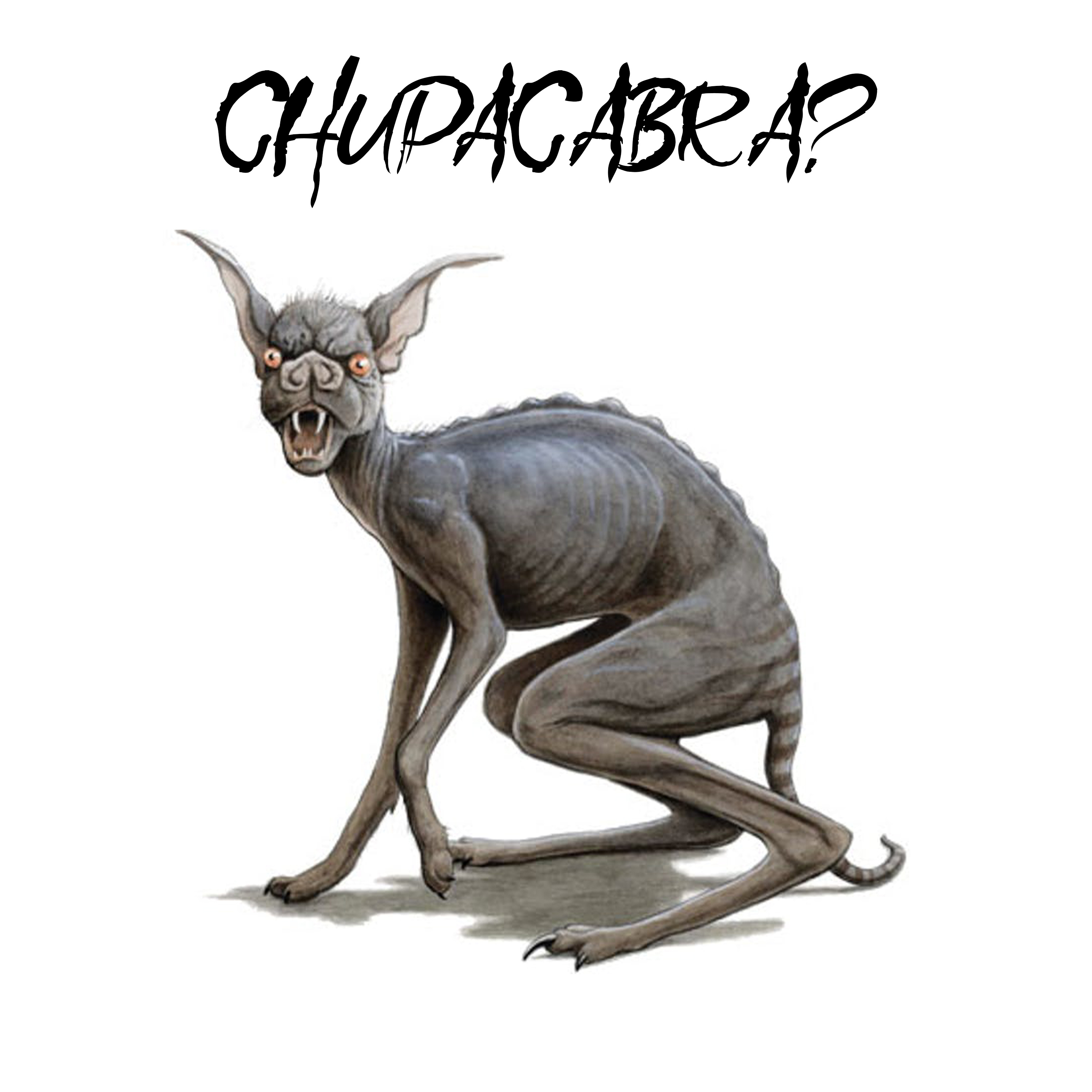 Chupacabra? episode artwork
