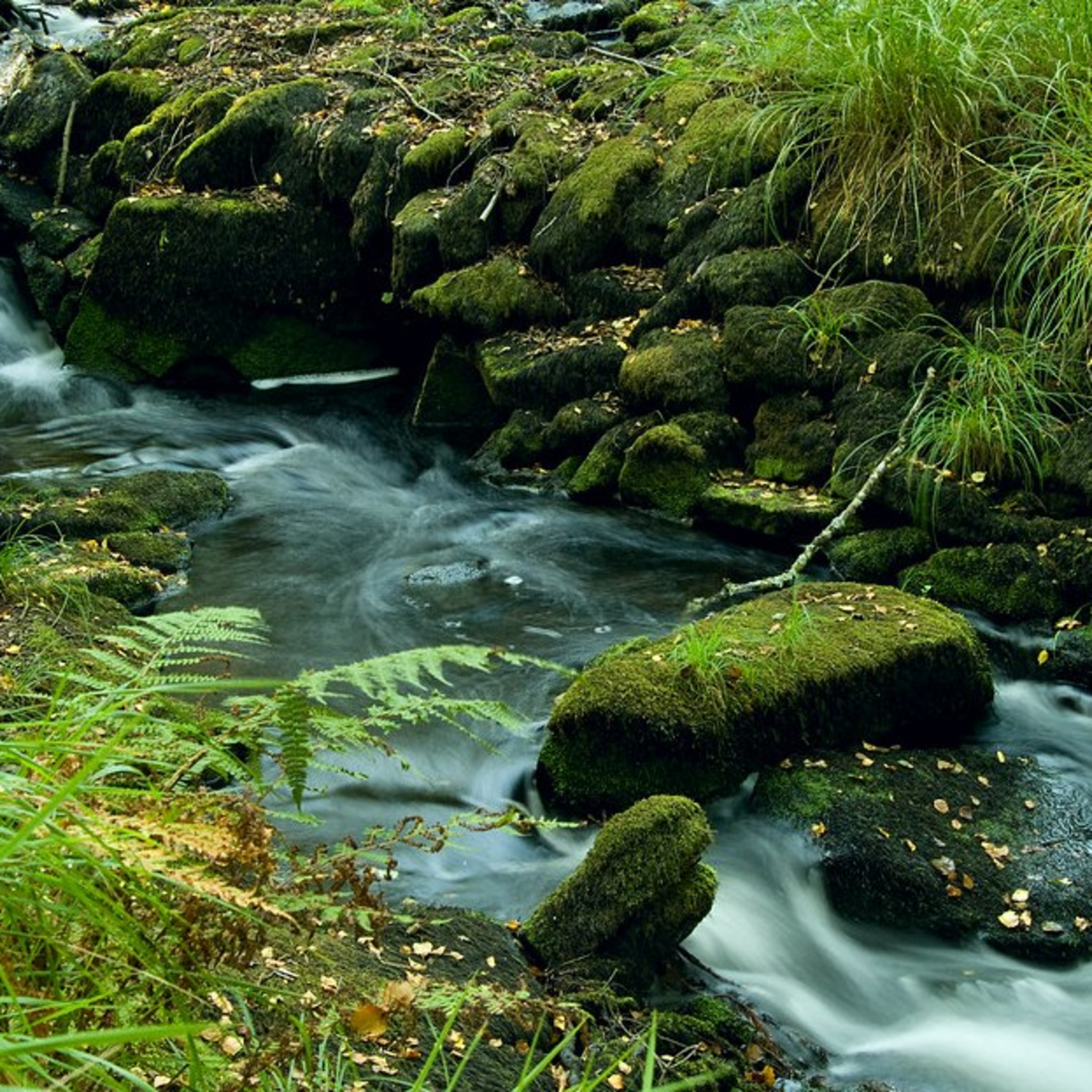 The River Poem episode artwork