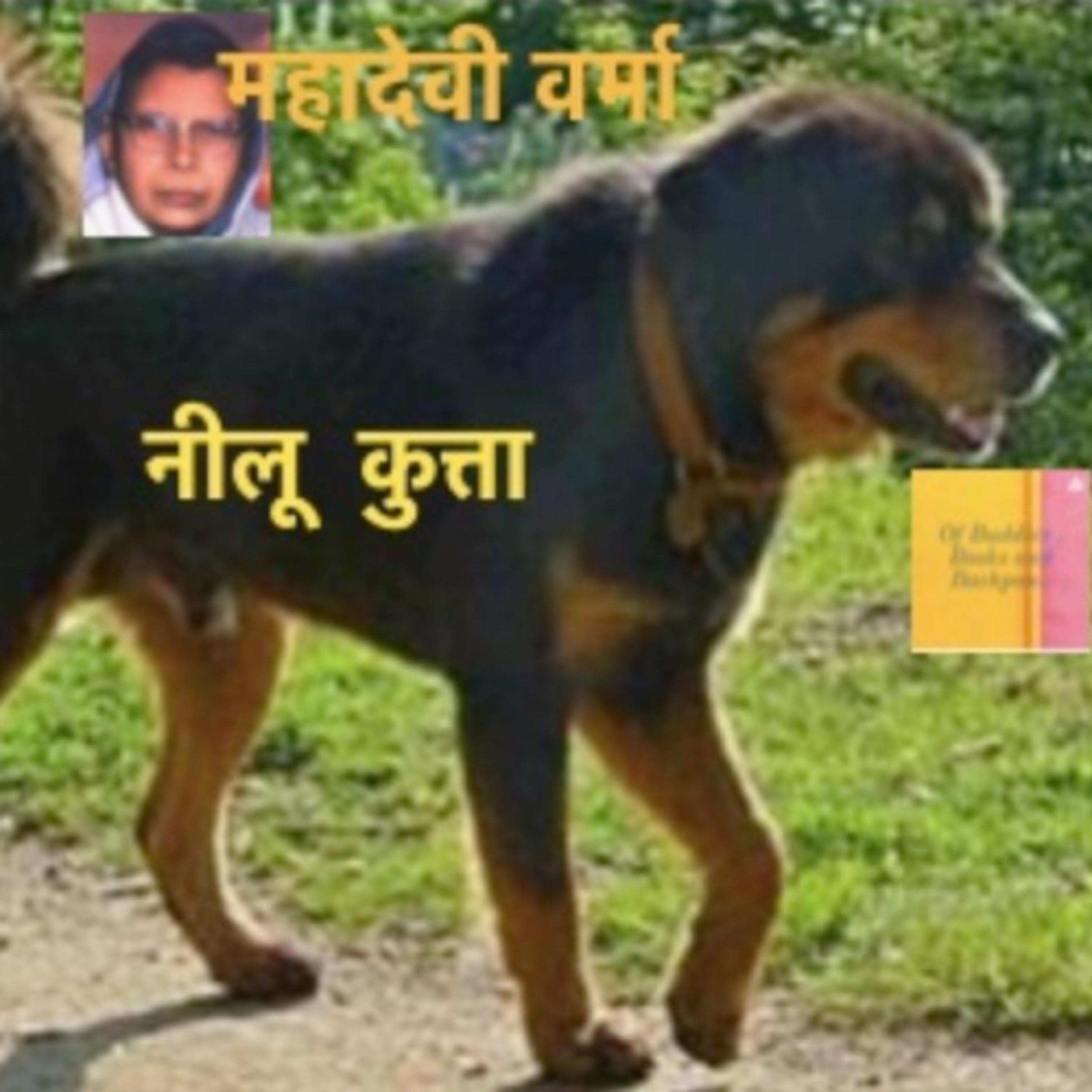 Of Buddies , Books and Bachpan..