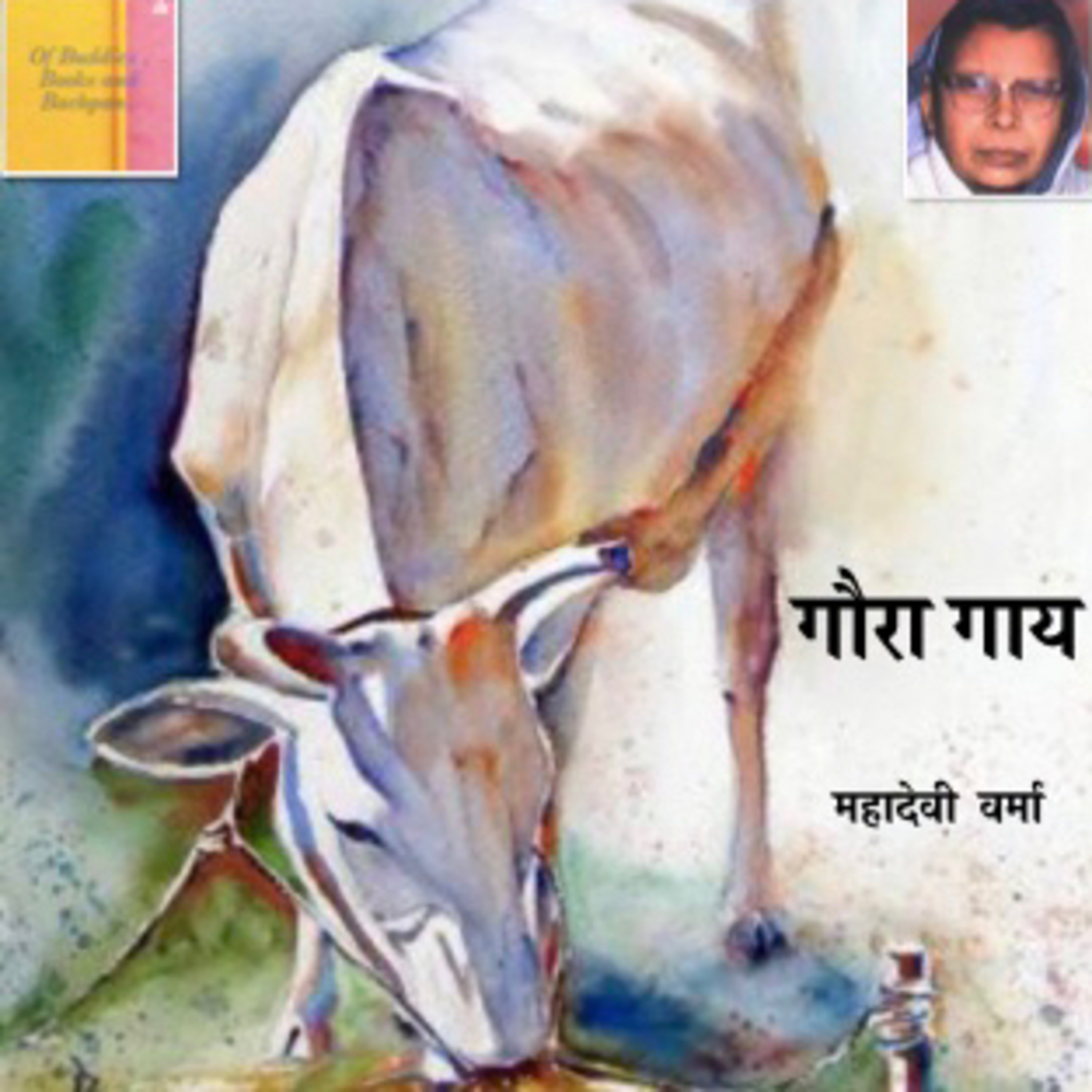 Of Buddies , Books and Bachpan..
