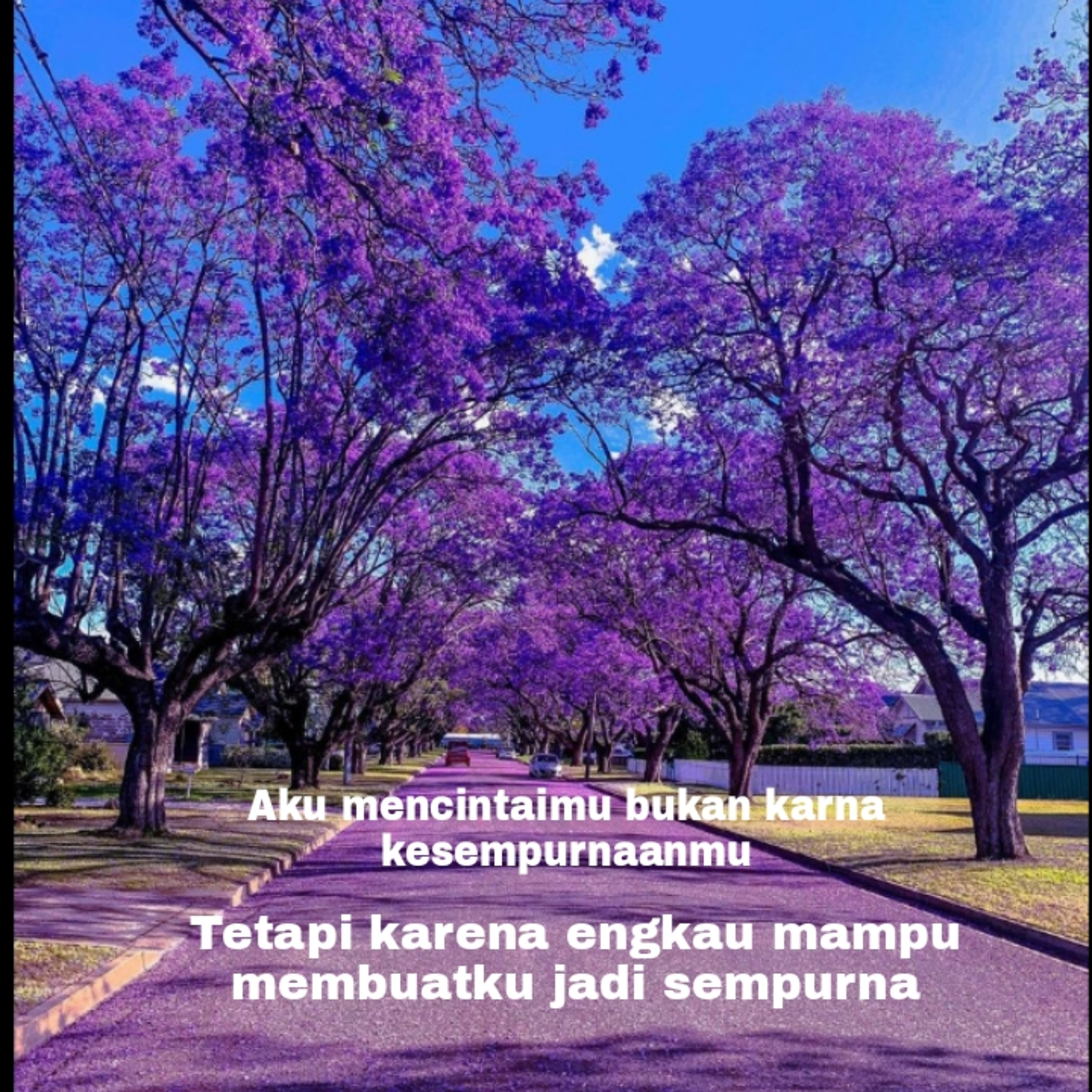 Budi Vio
