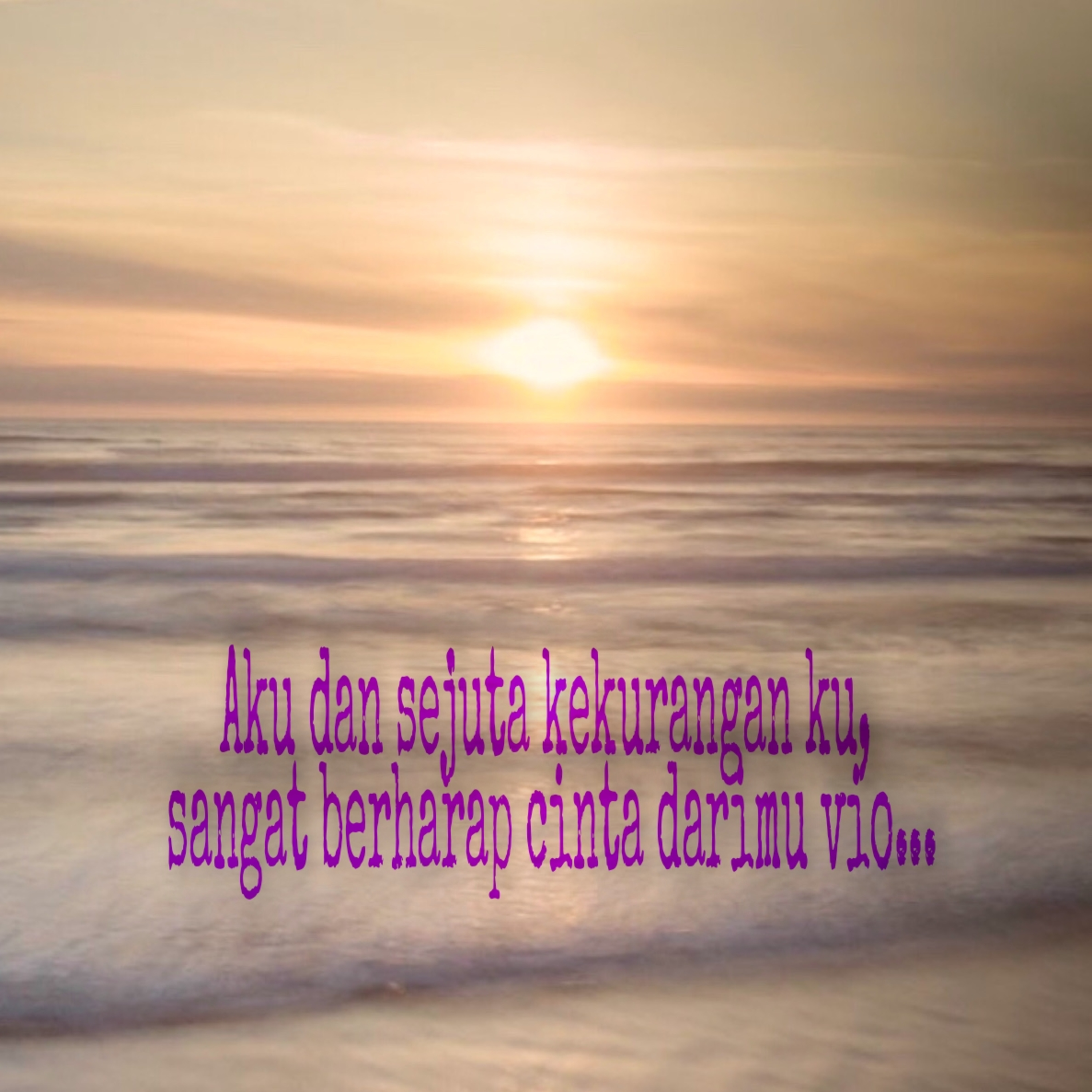 Budi Vio