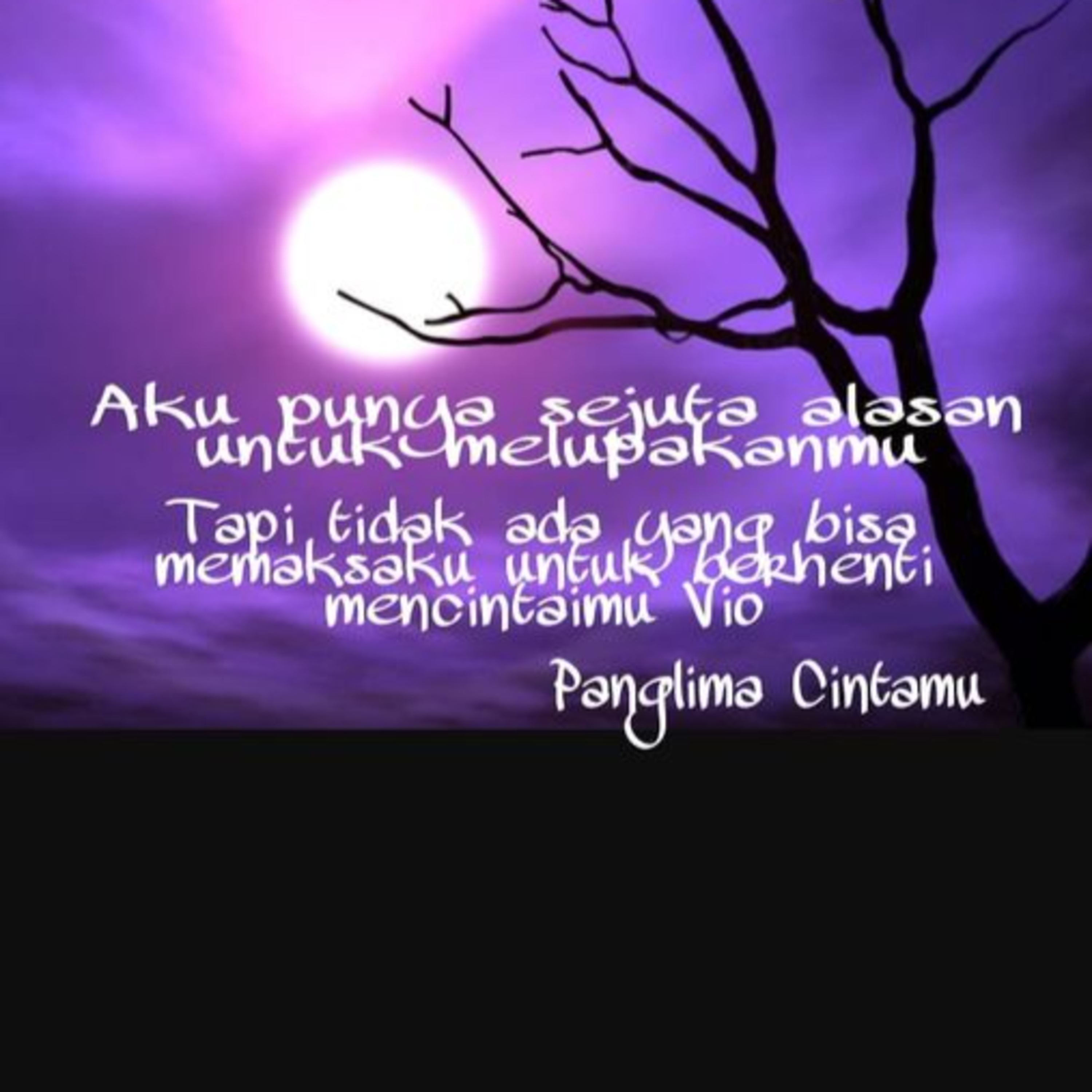 Budi Vio