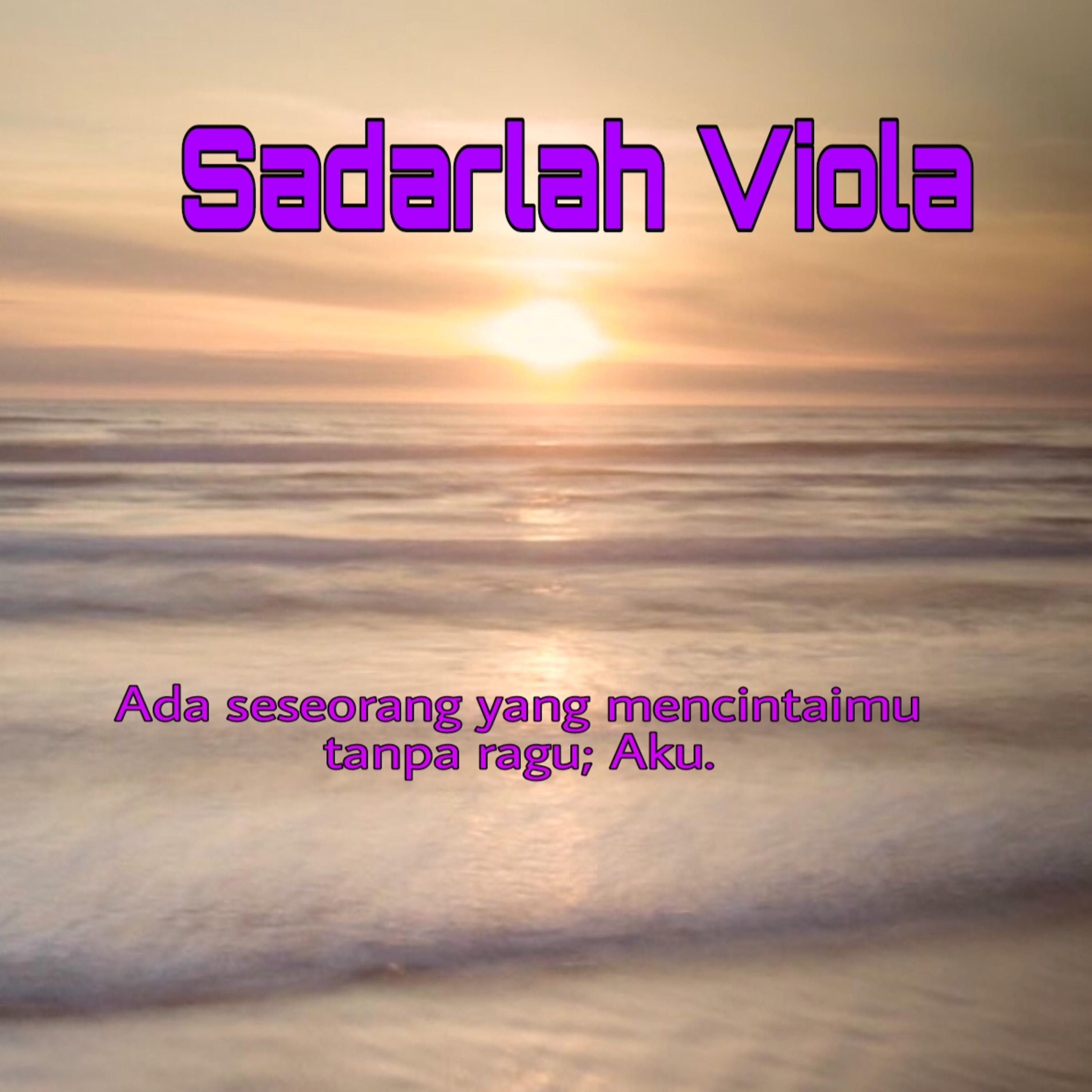 Budi Vio