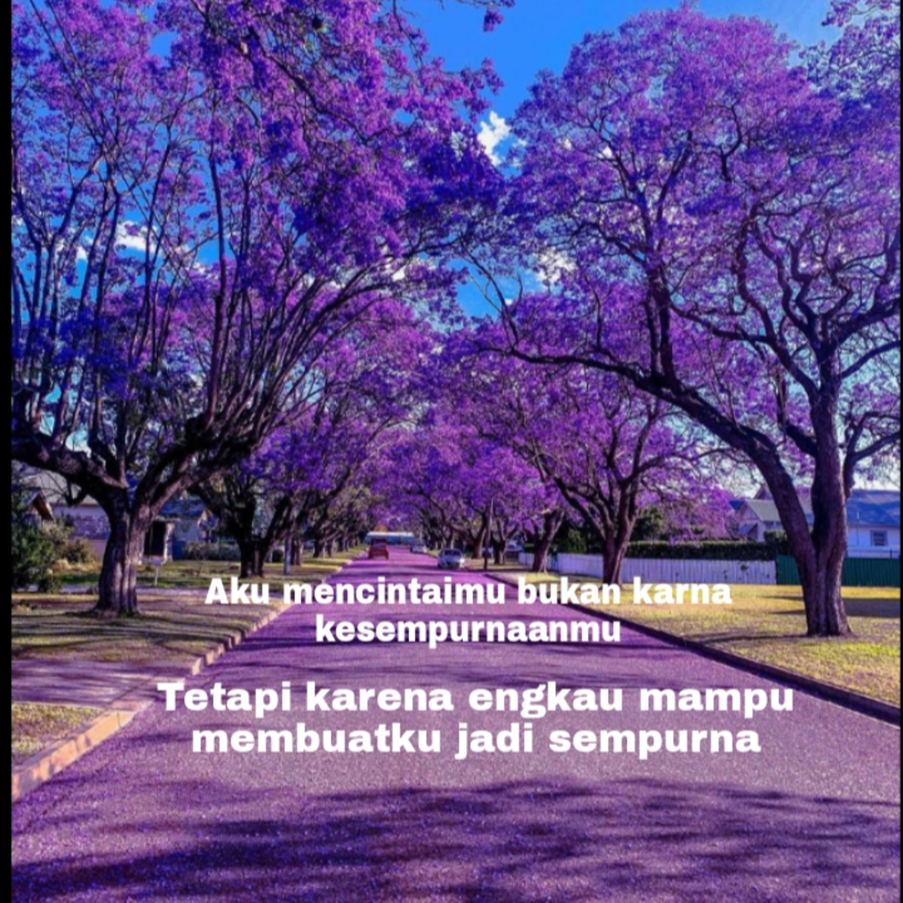 Budi Vio