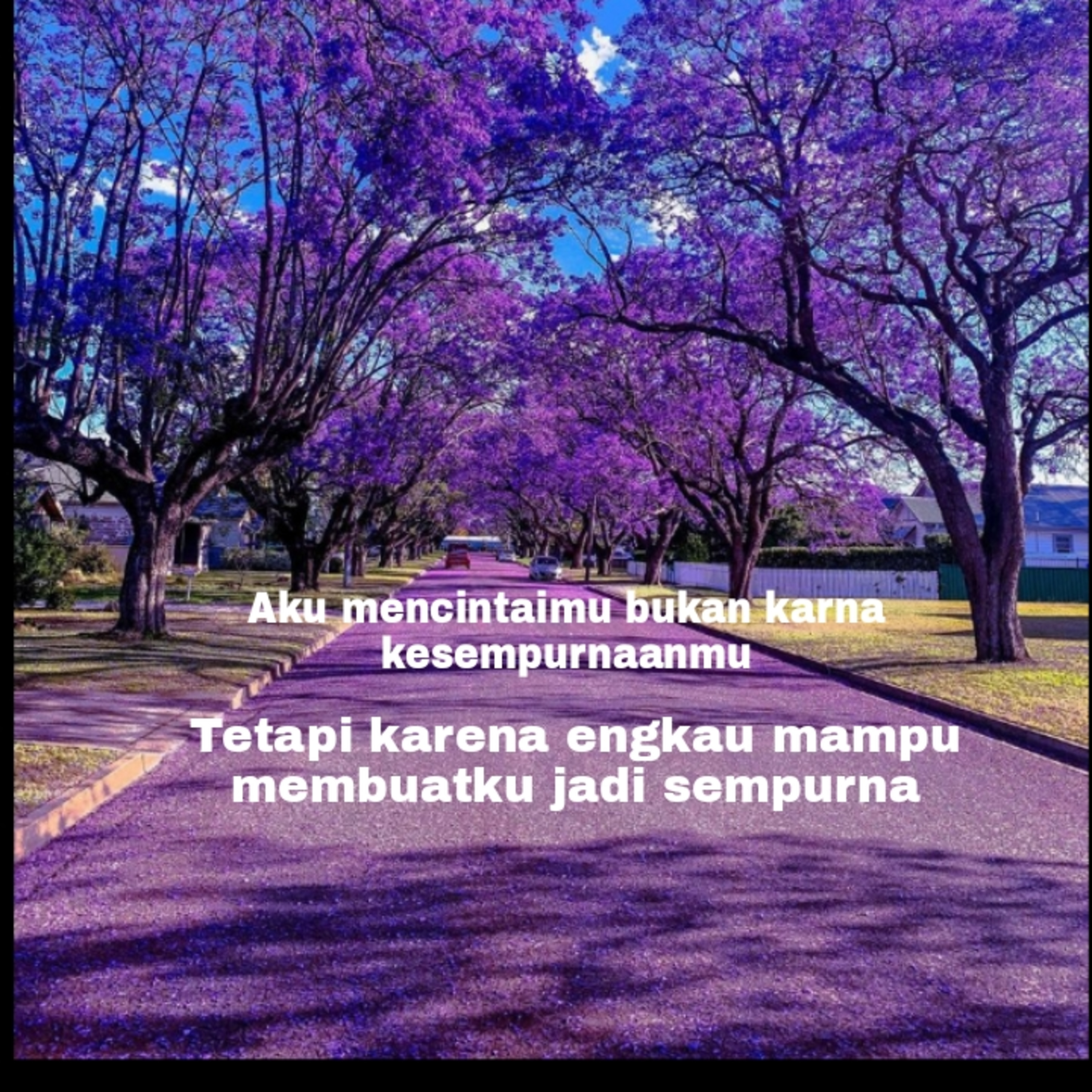Budi Vio