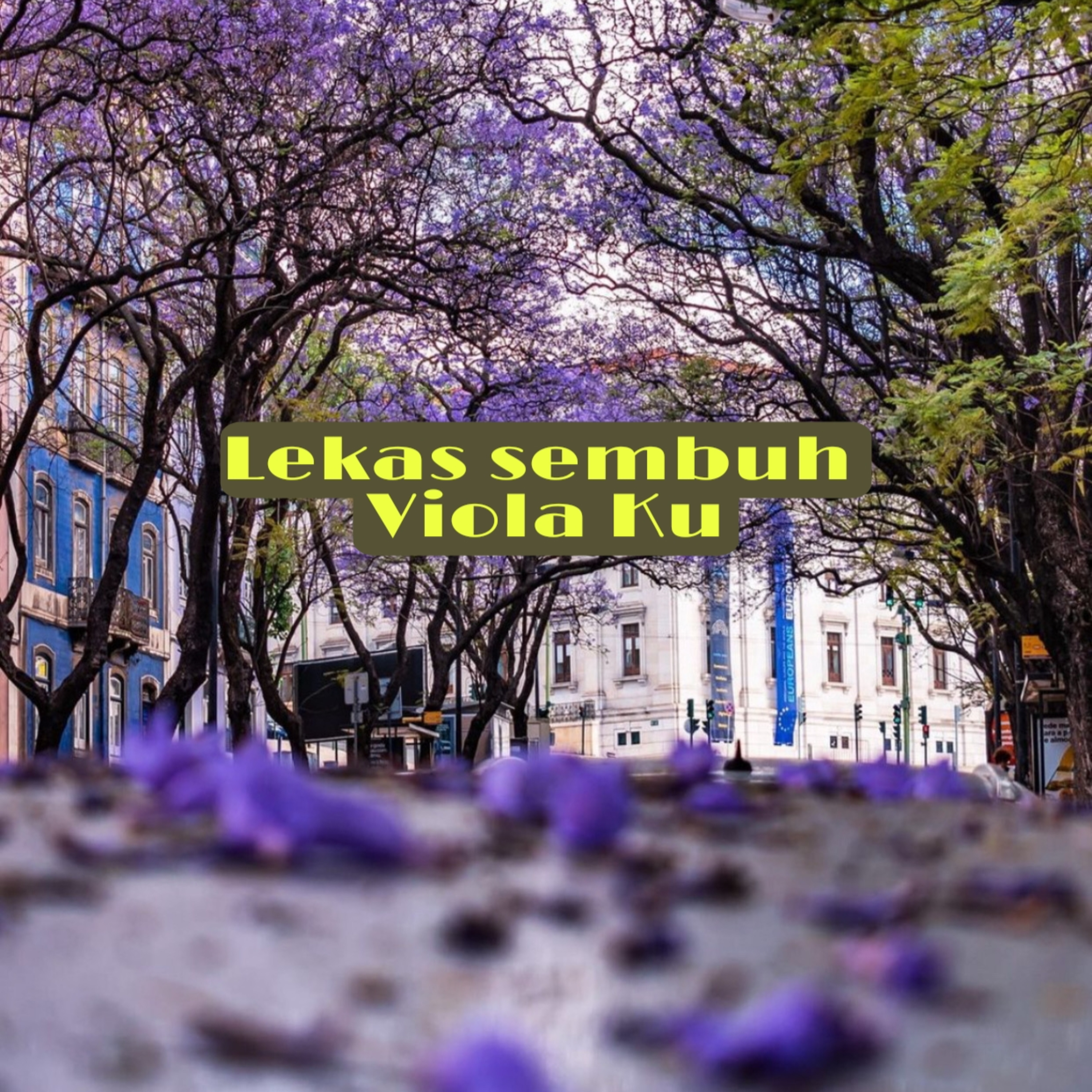 Budi Vio