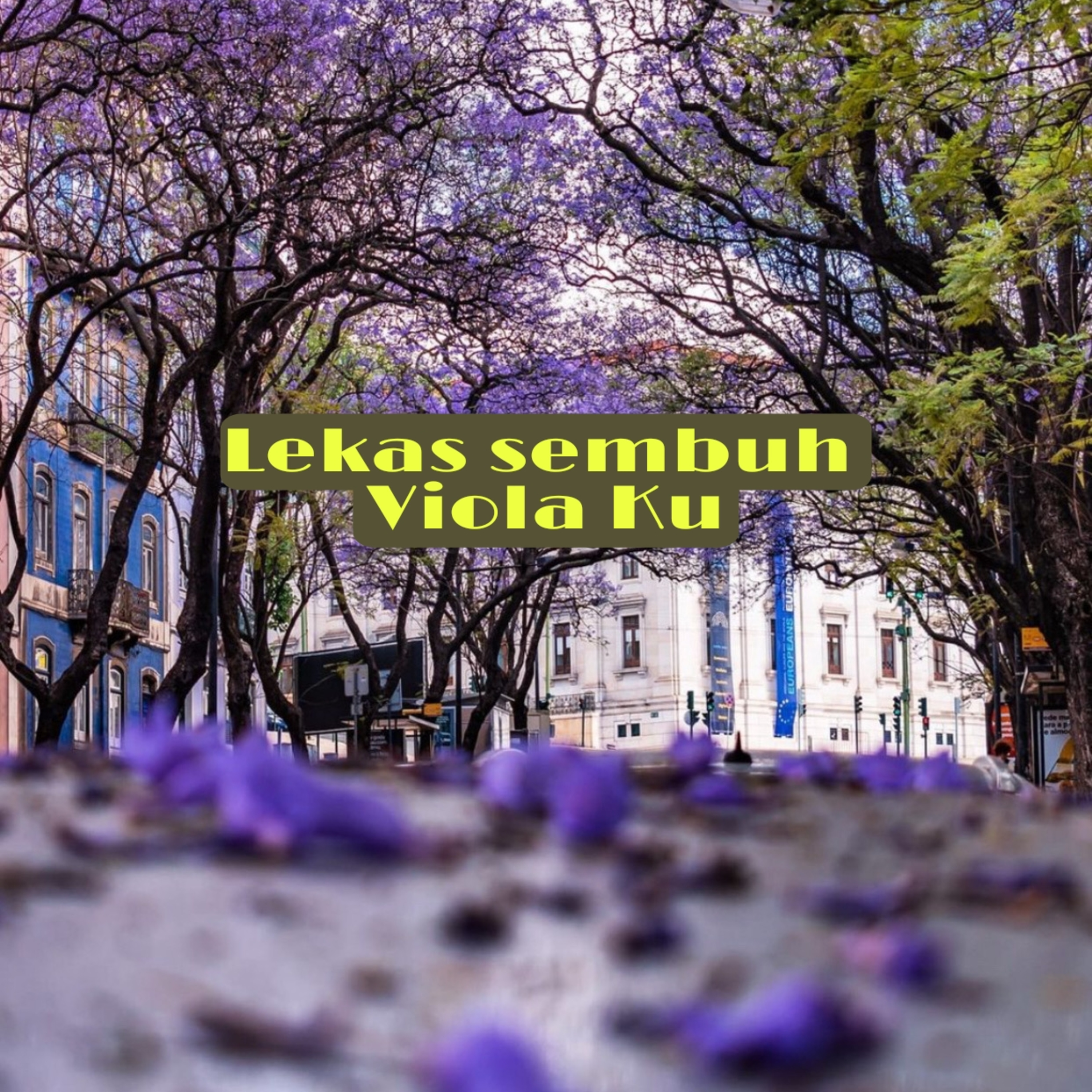Budi Vio