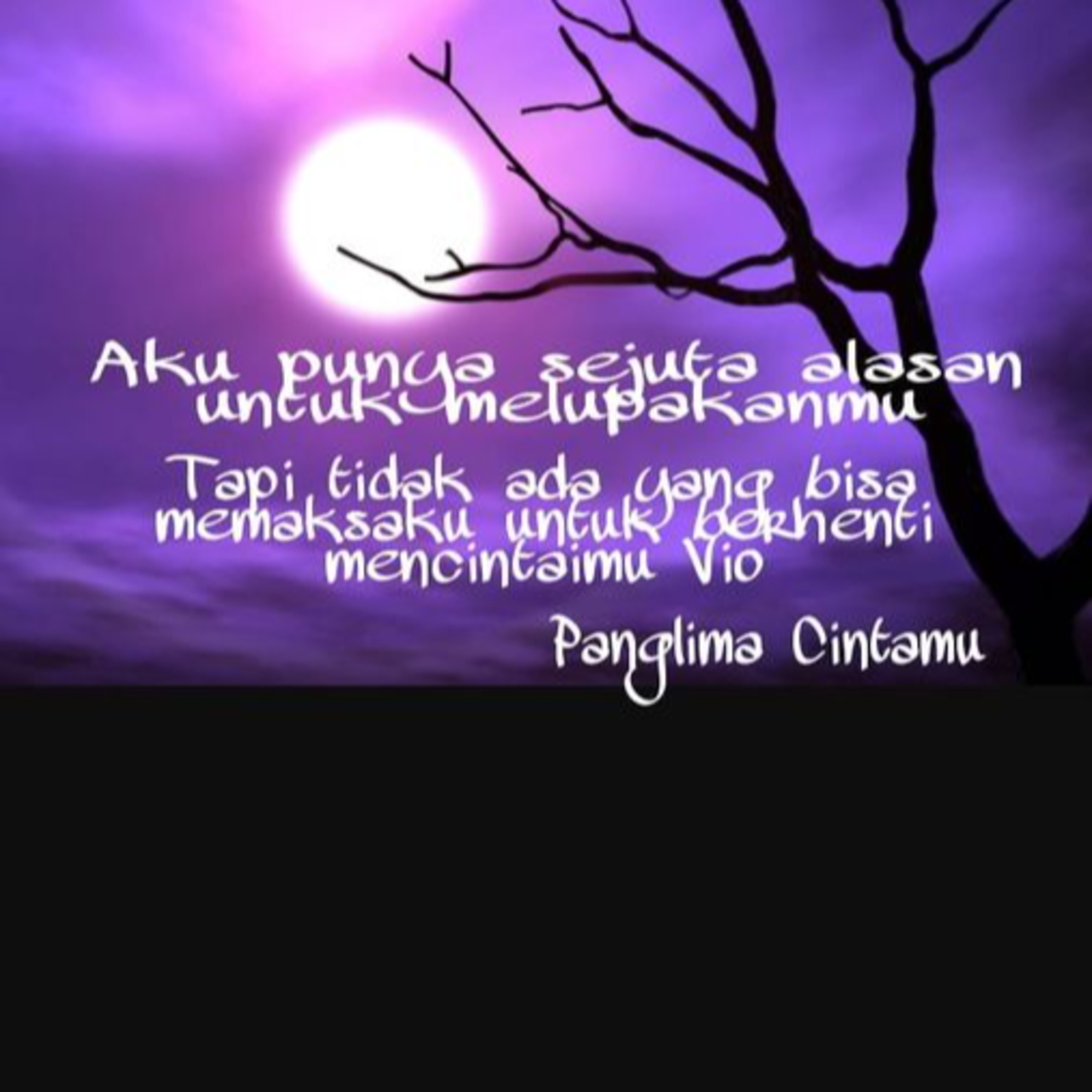 Budi Vio