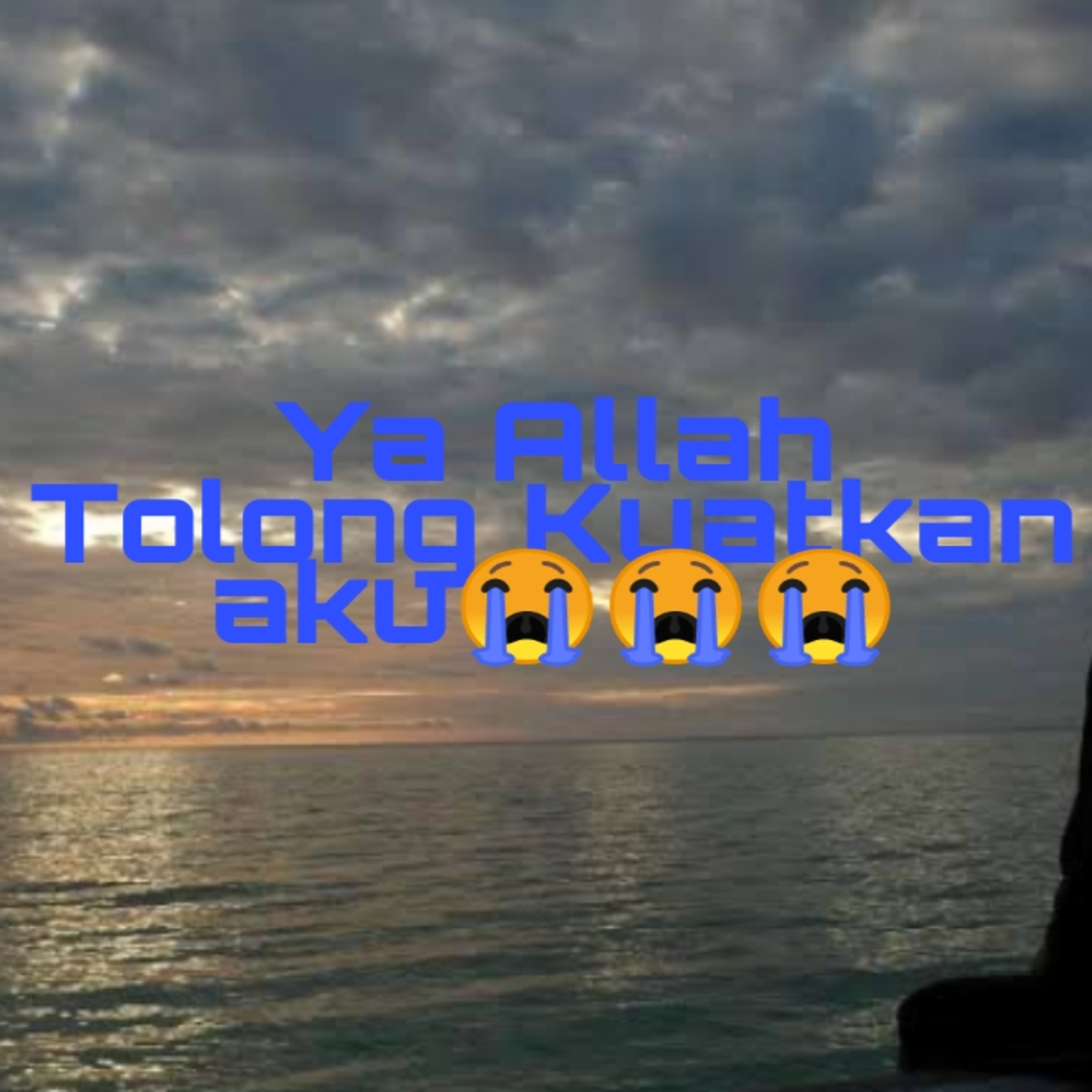 Budi Vio