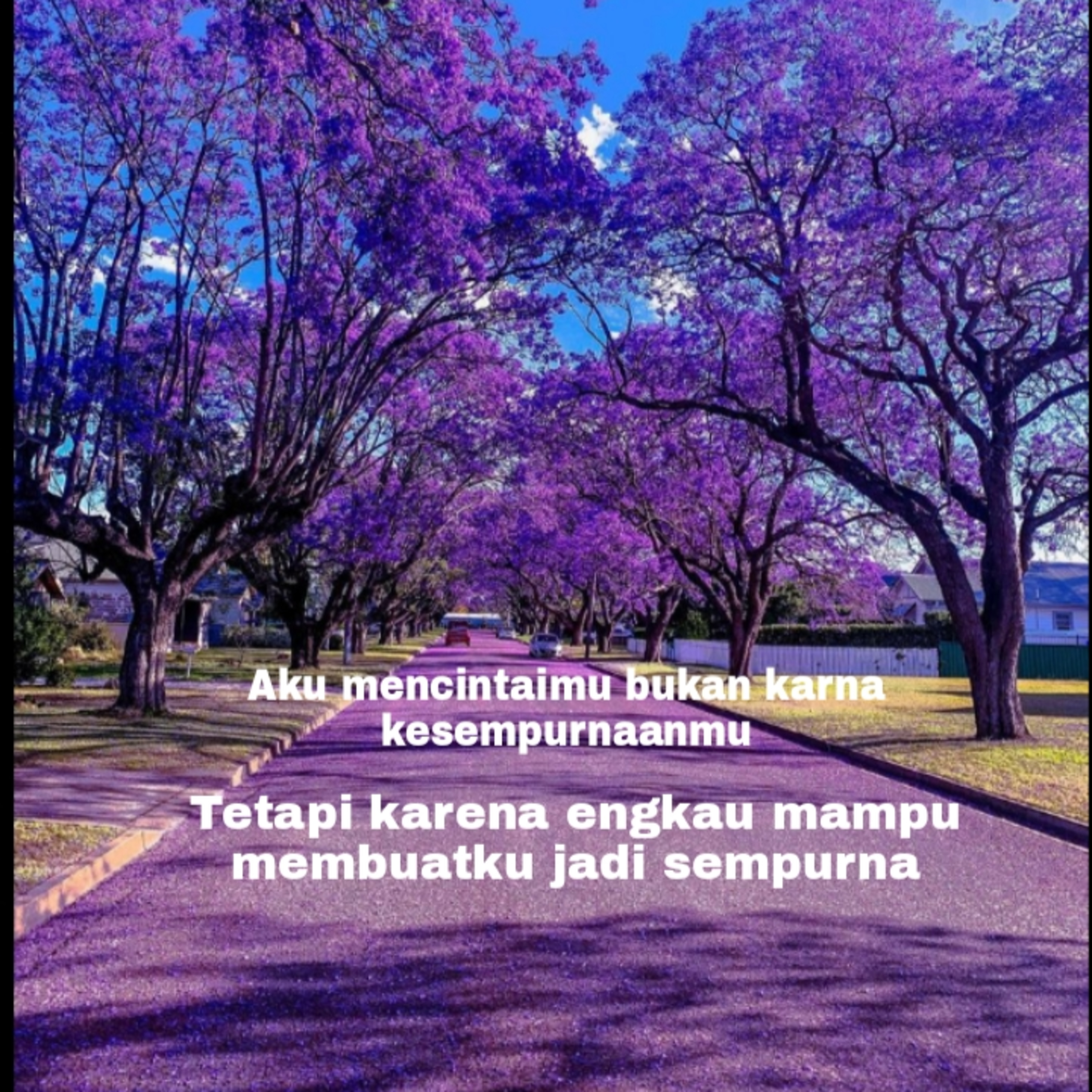 Budi Vio