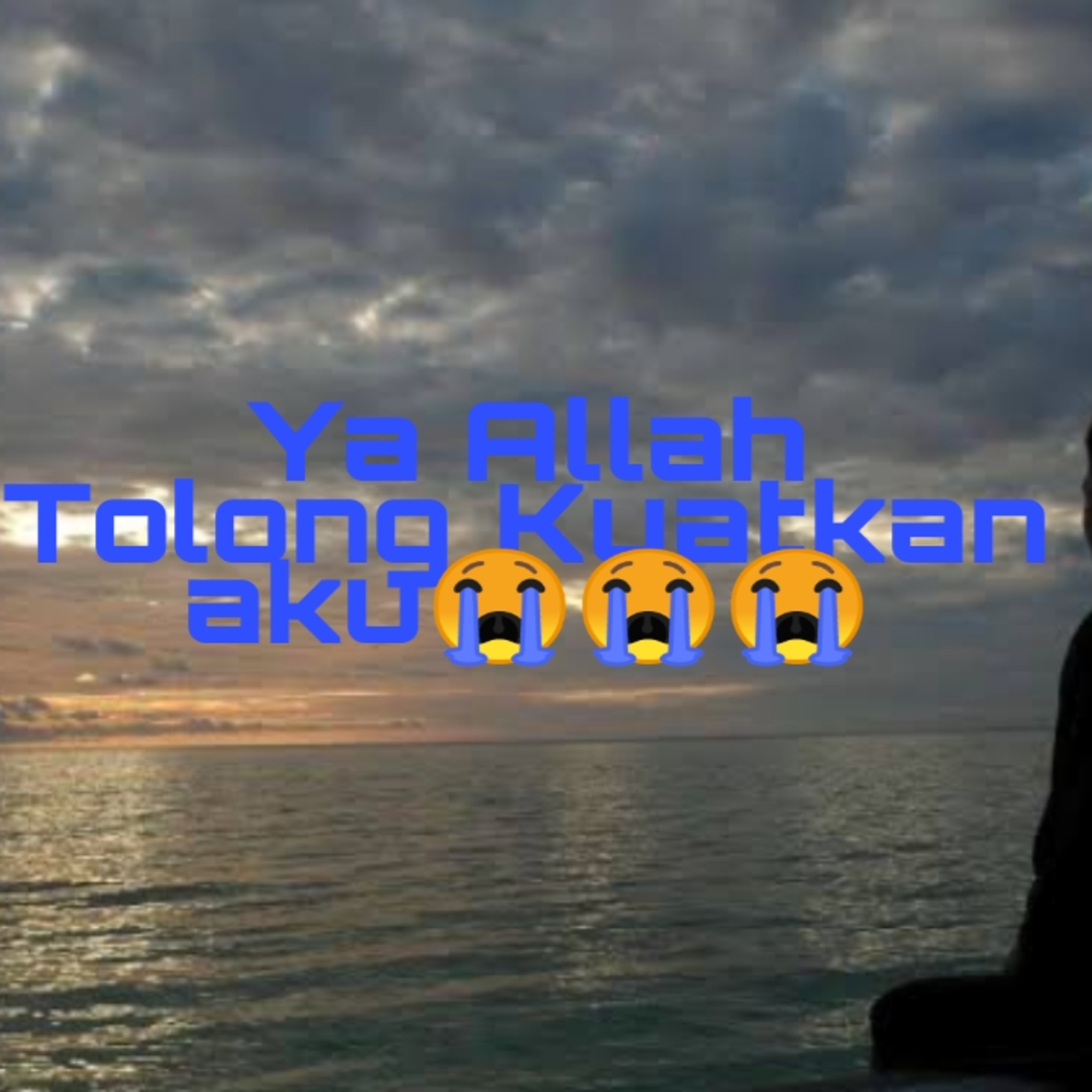 Budi Vio