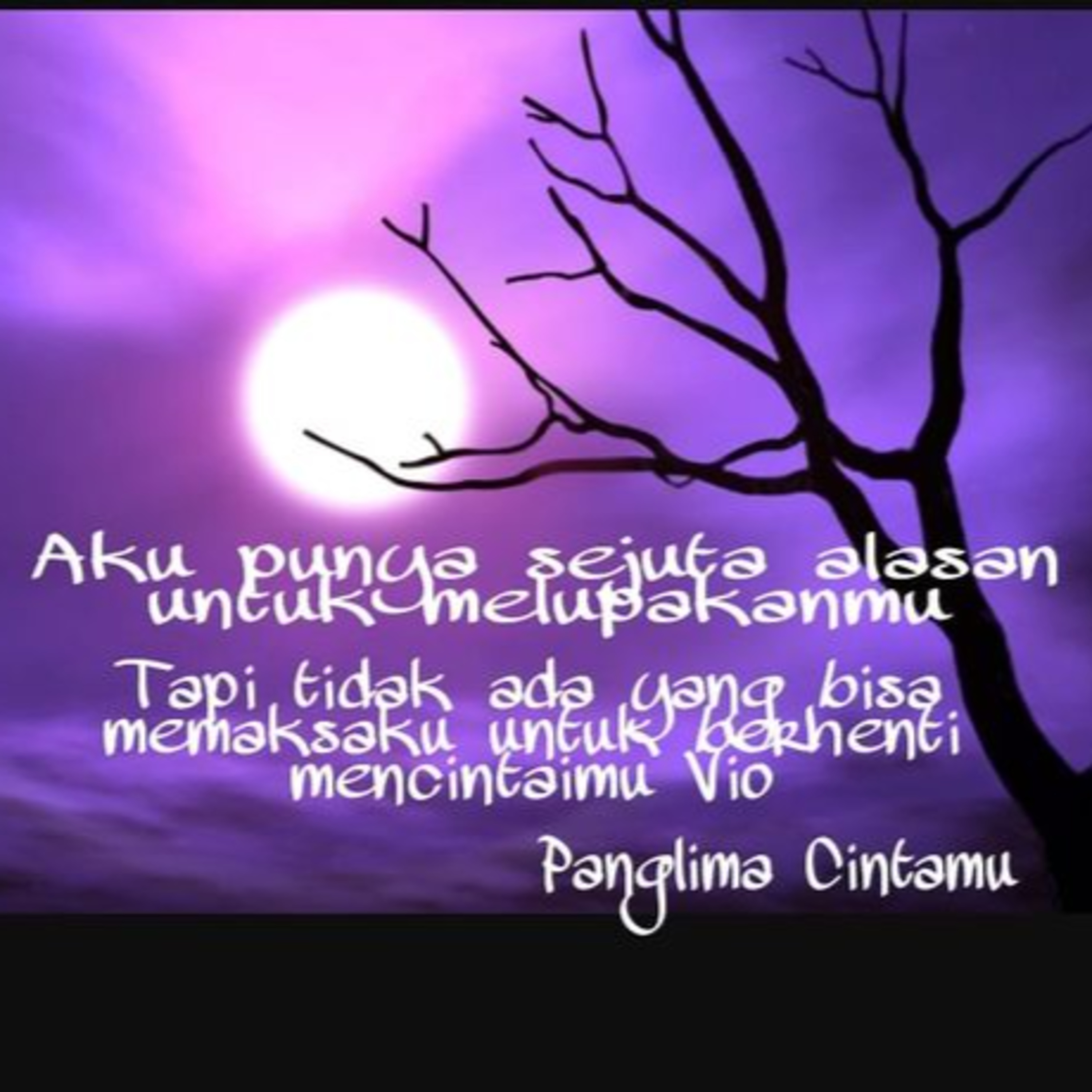 Budi Vio