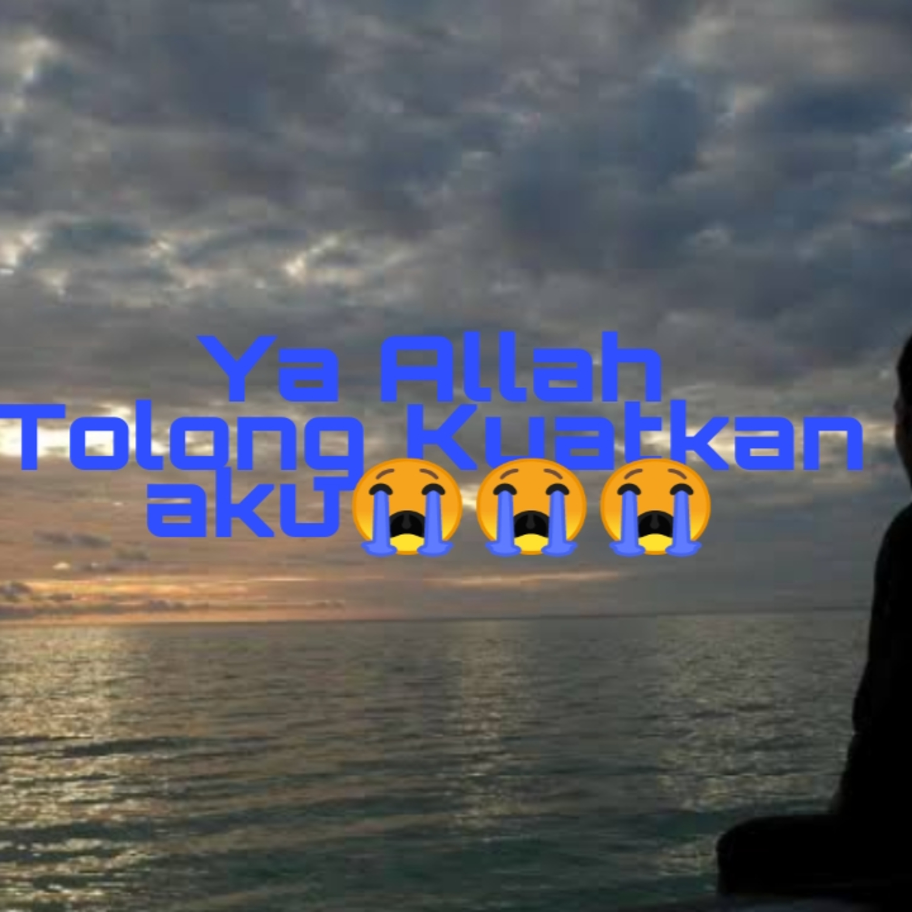 Budi Vio