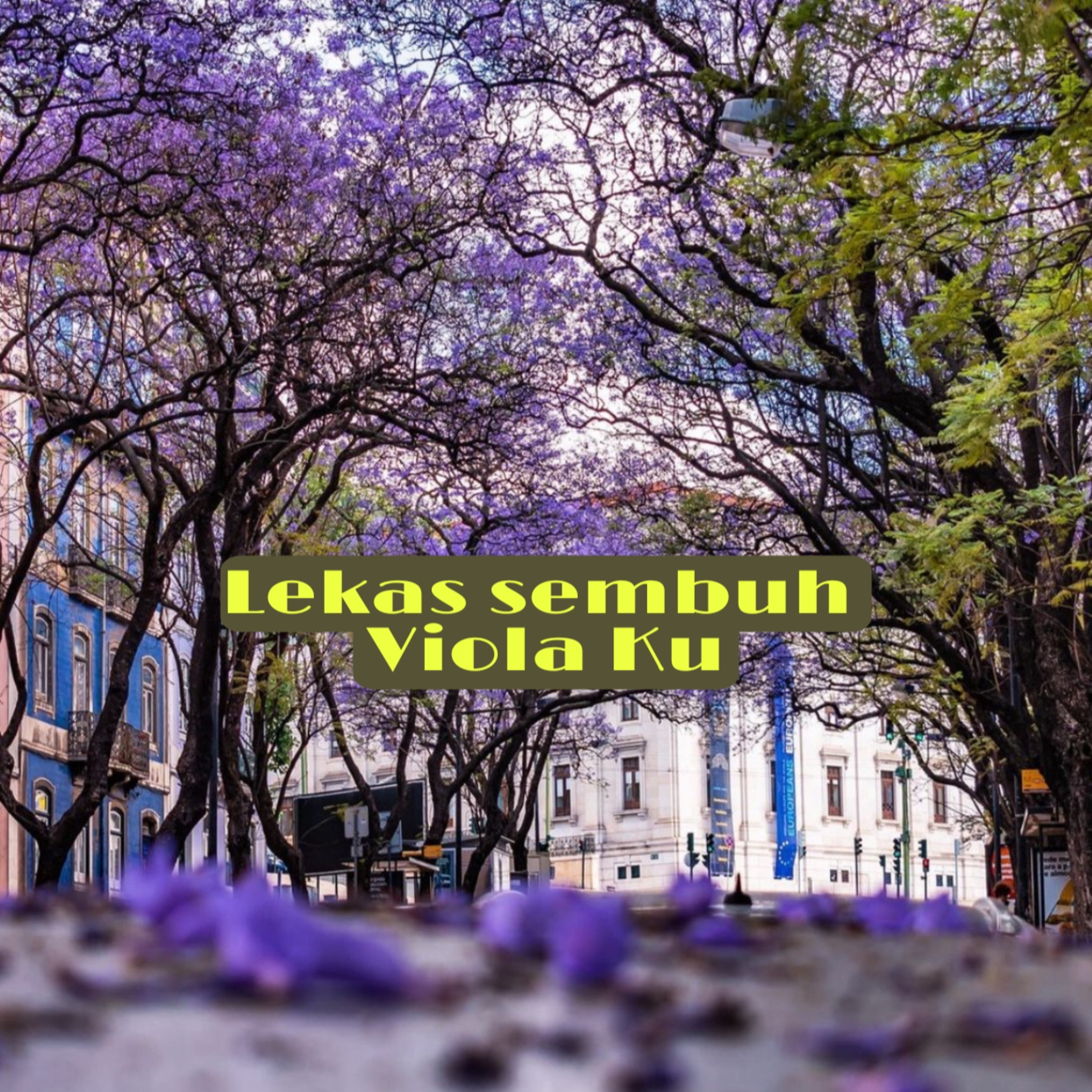 Budi Vio