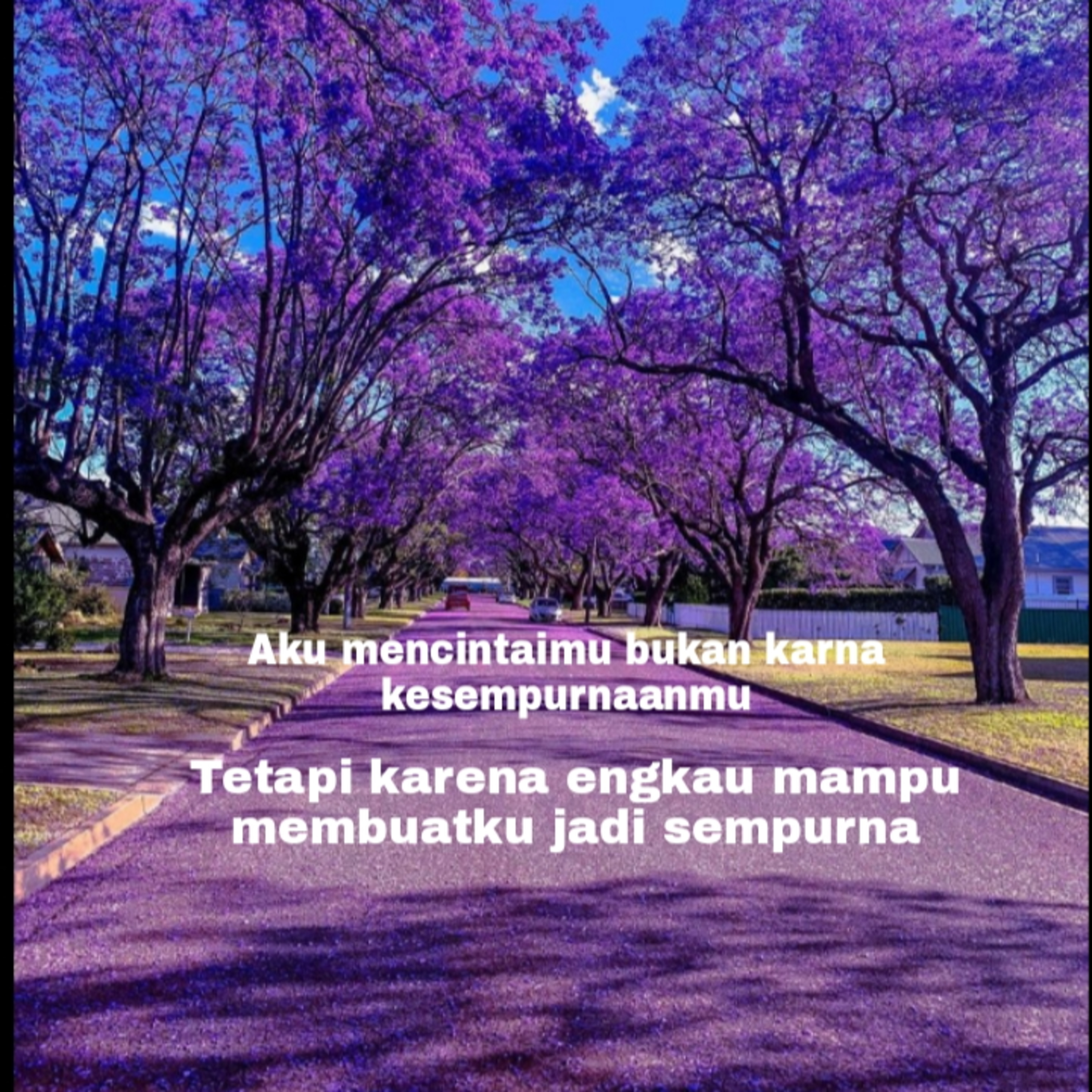 Budi Vio