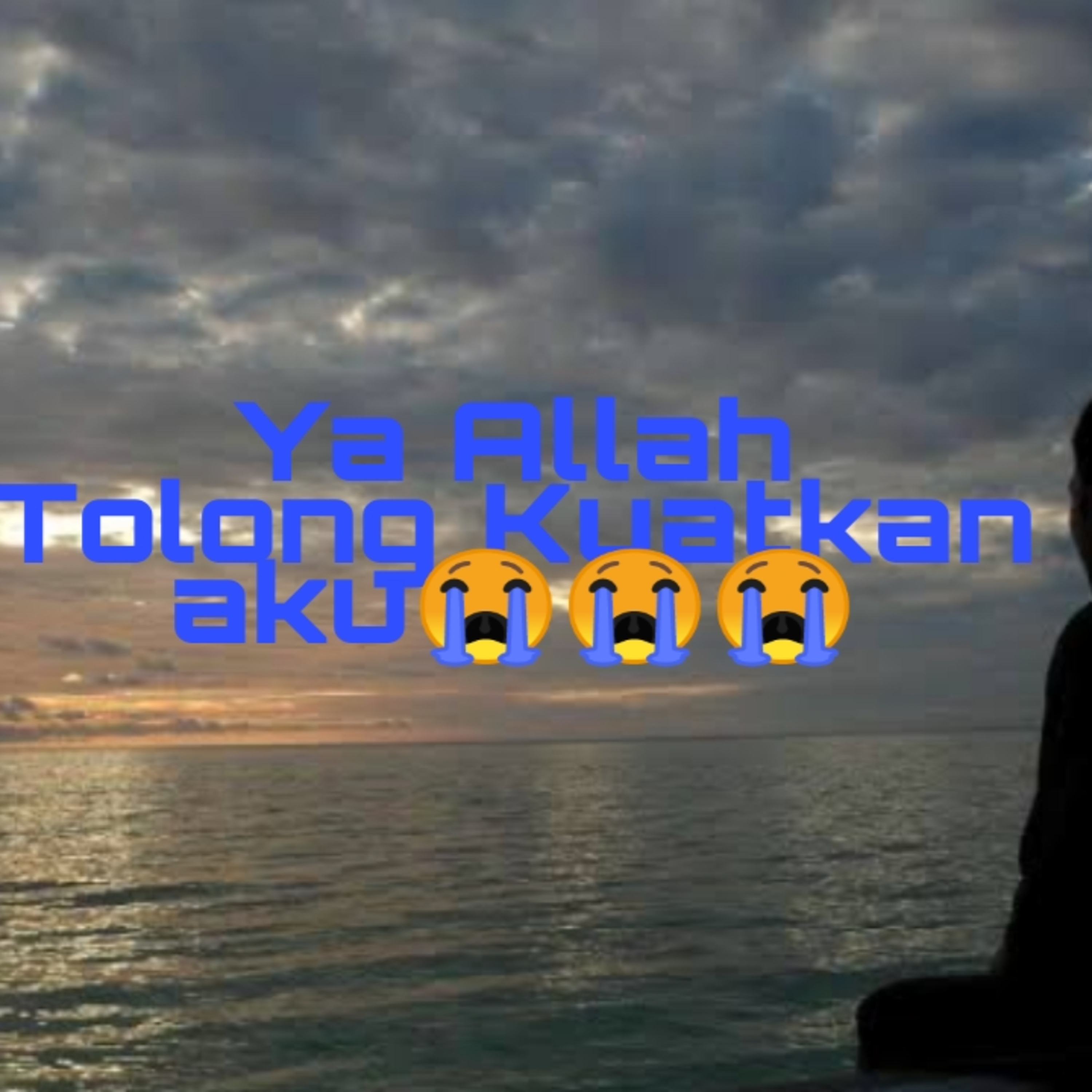 Budi Vio