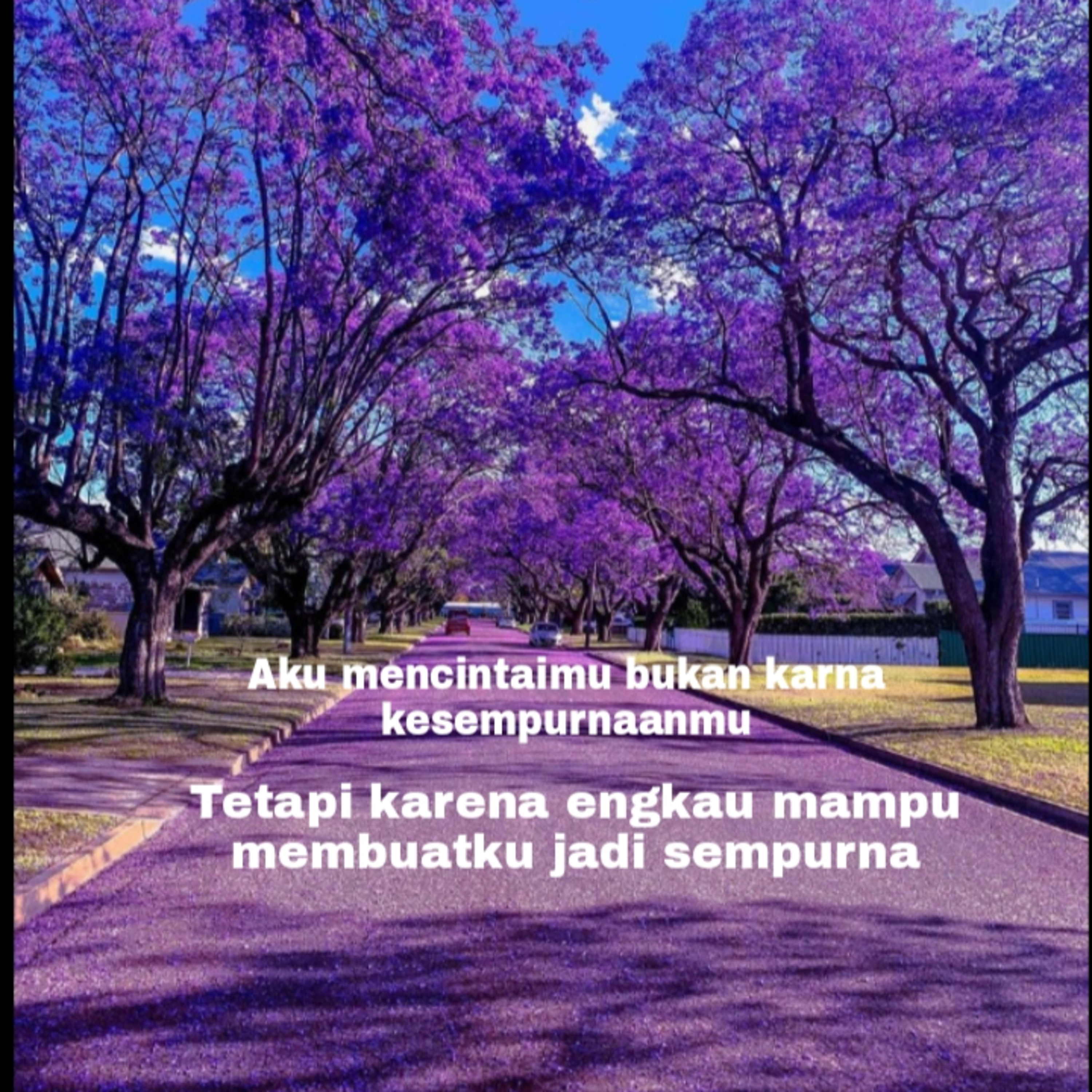 Budi Vio