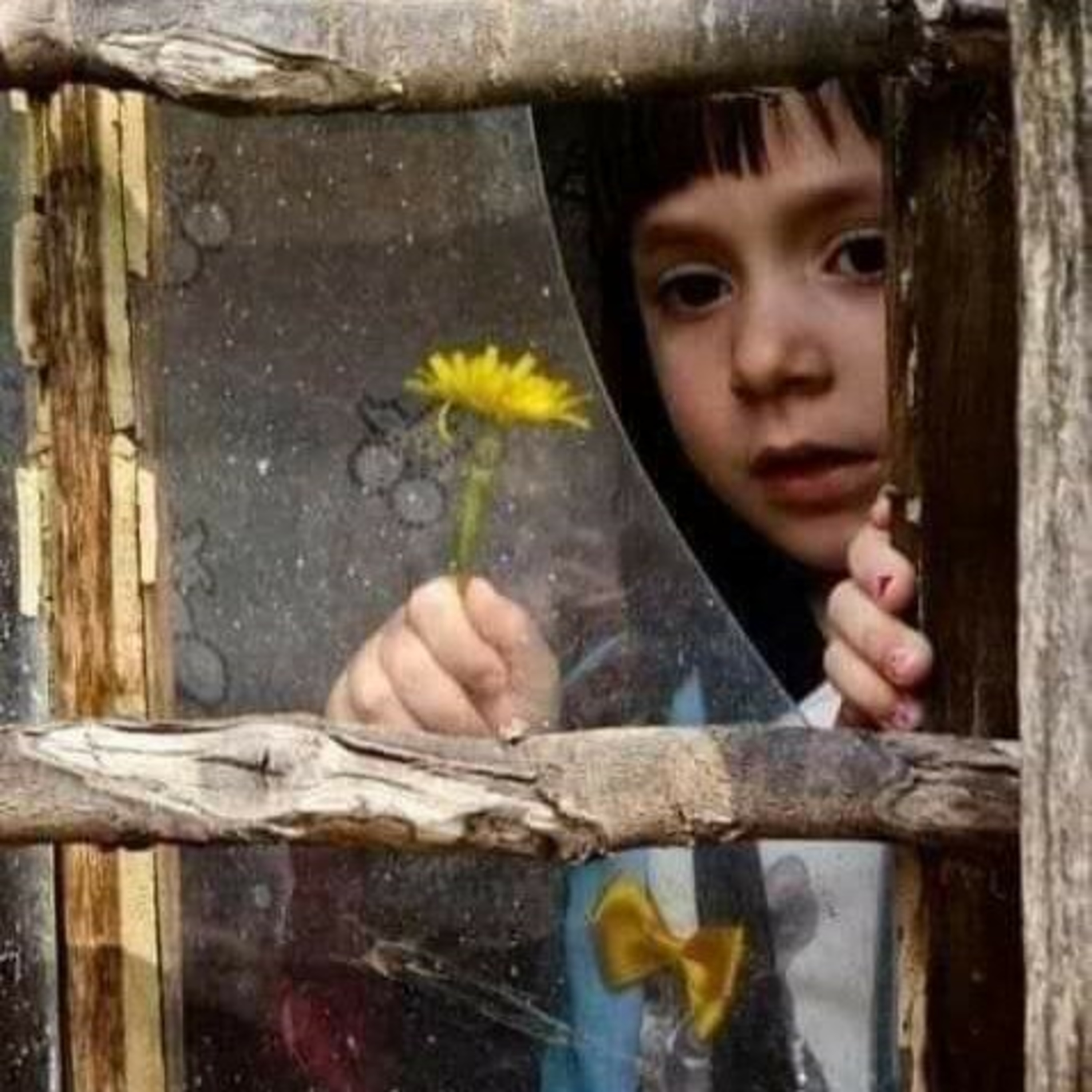 A diferença entre força e coragem!!  episode artwork
