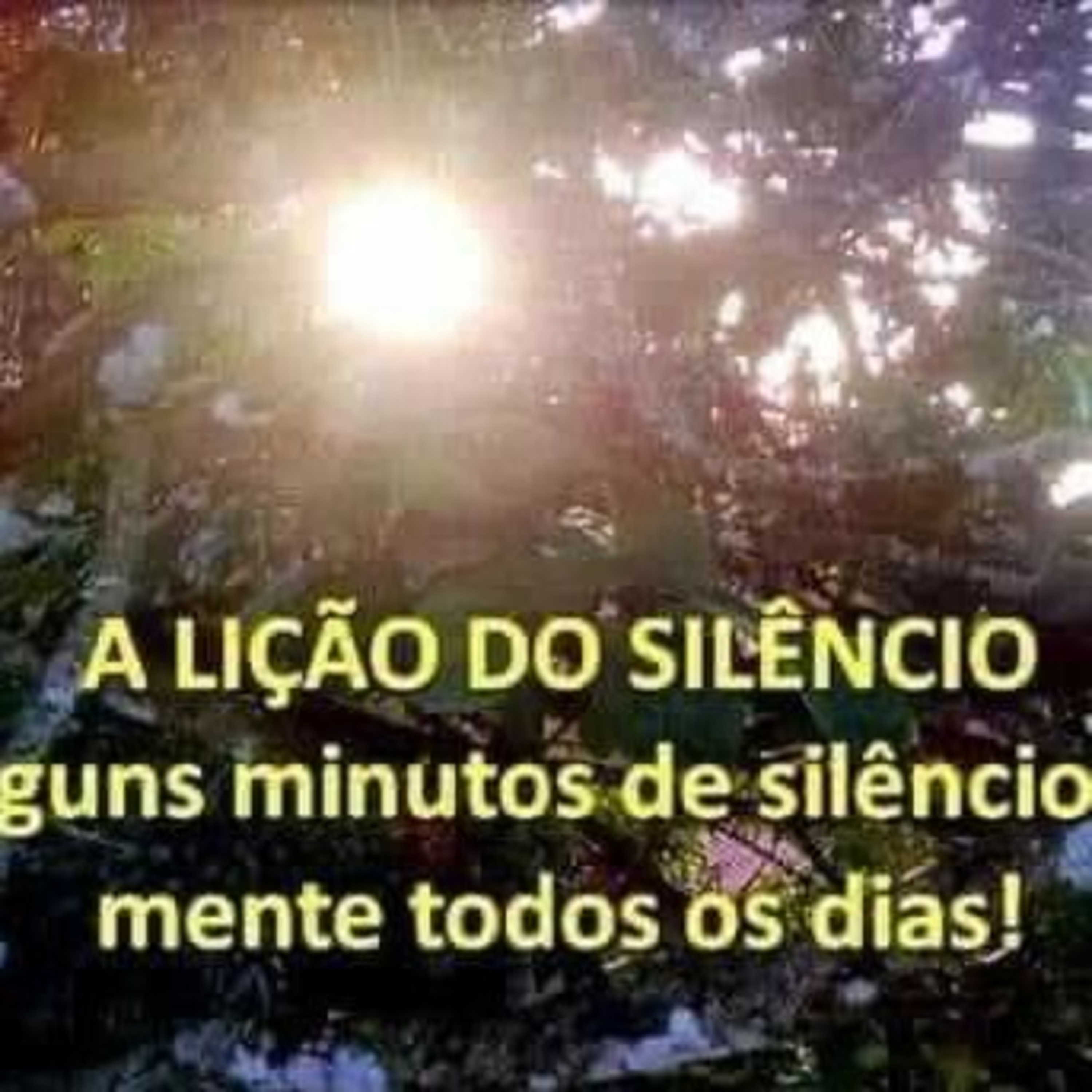 A lição do silêncio!!  episode artwork