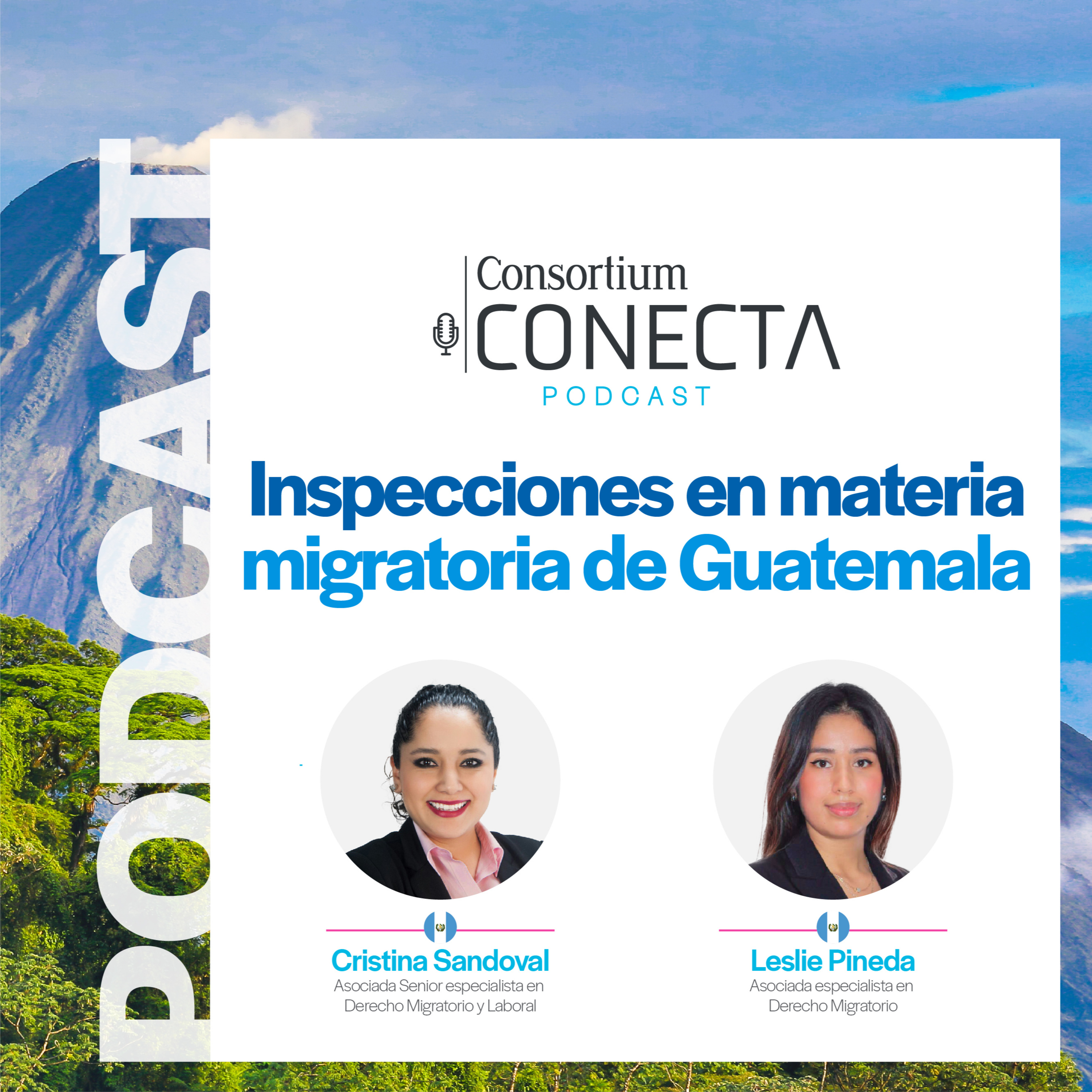 Portada de Consortium Legal
