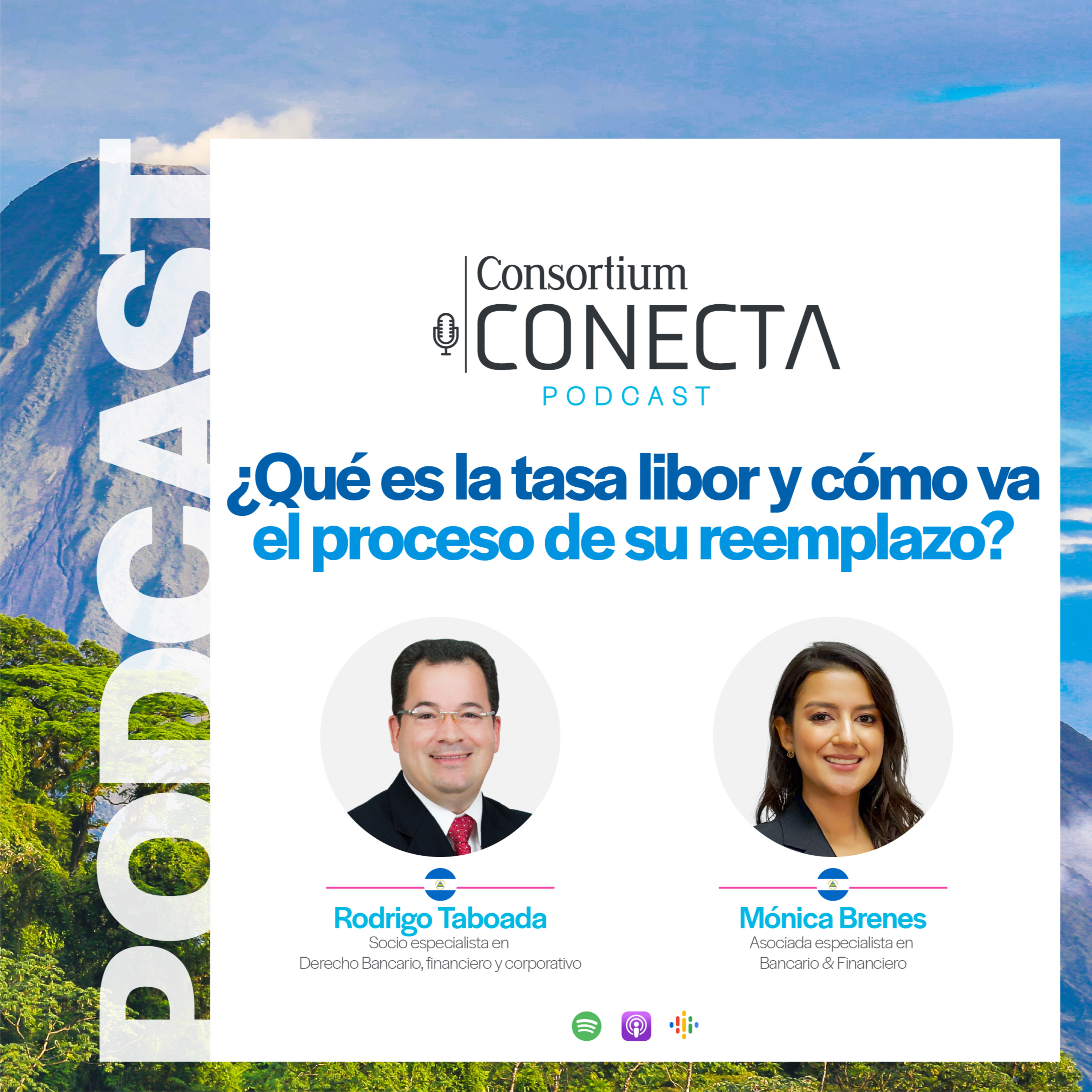 Portada de Consortium Legal
