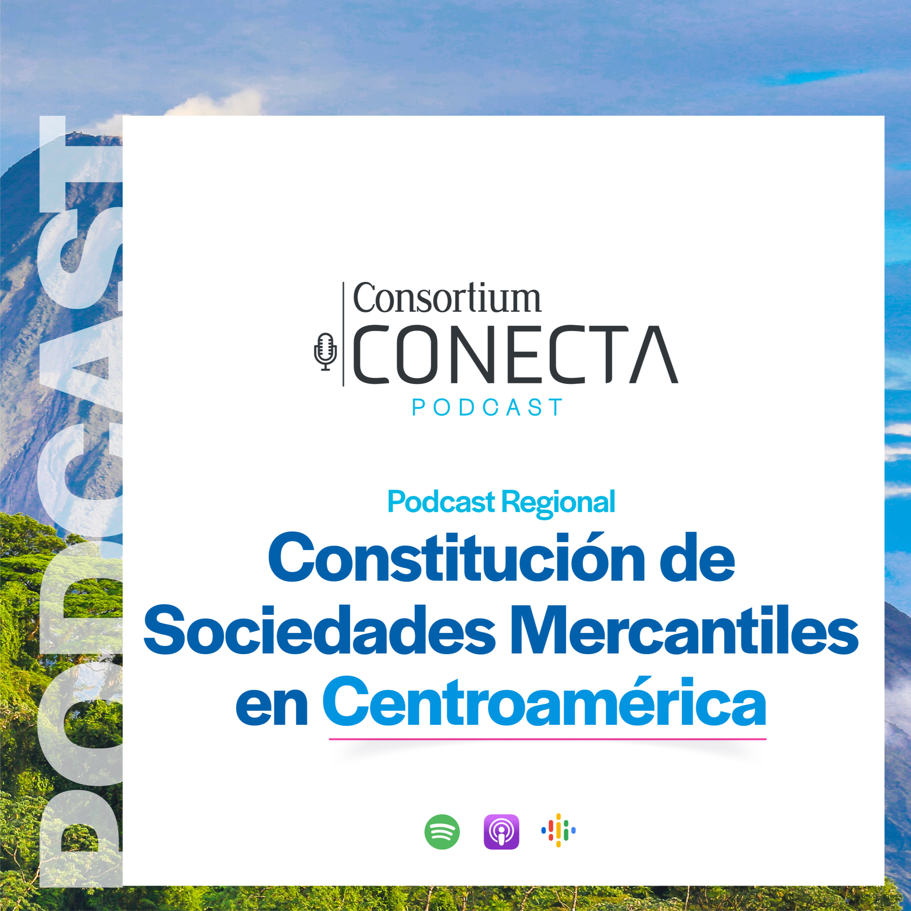 Portada de Consortium Legal